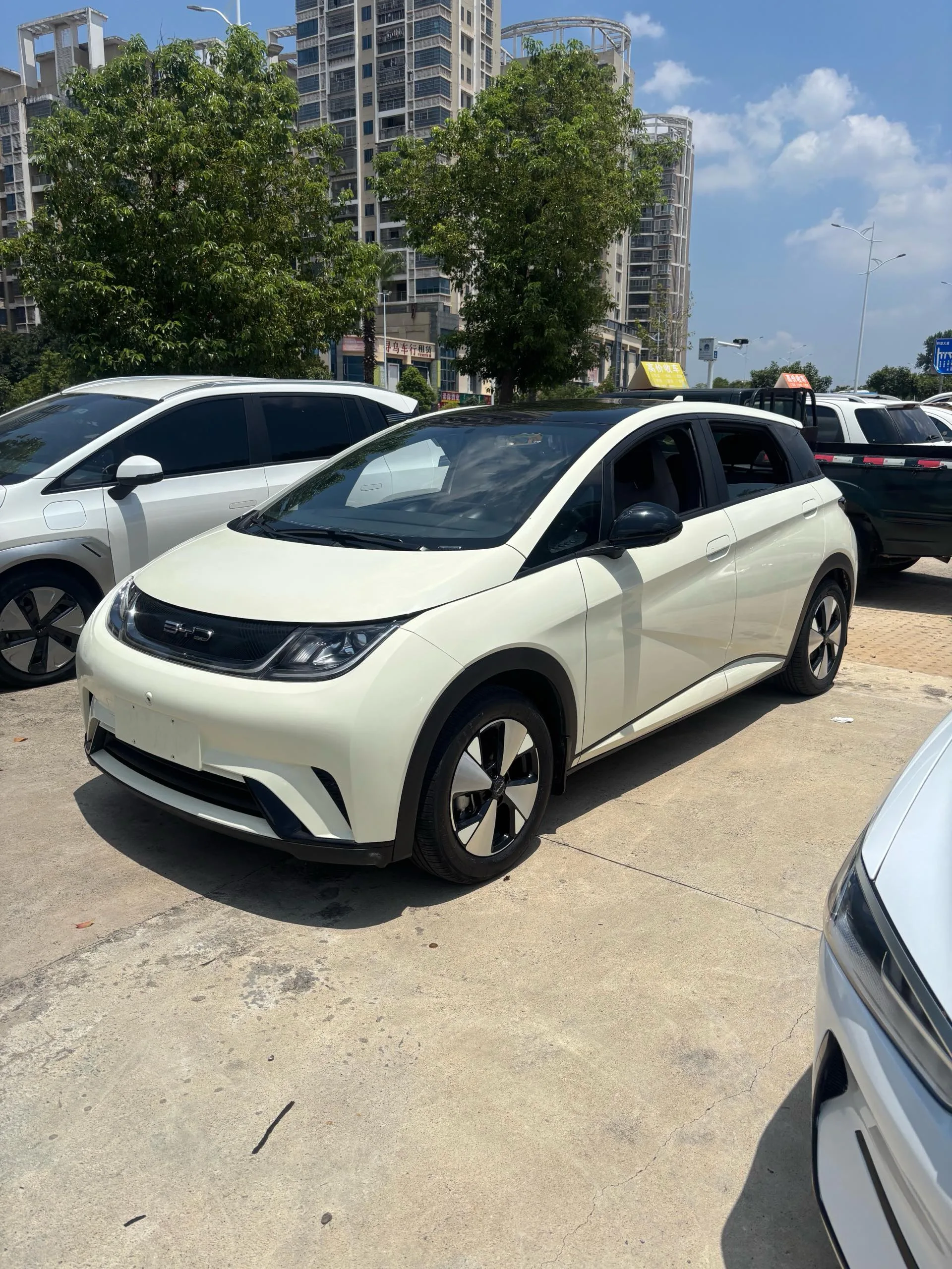 BYD 2023 Dolphin 420km Freedom Edition Automatic