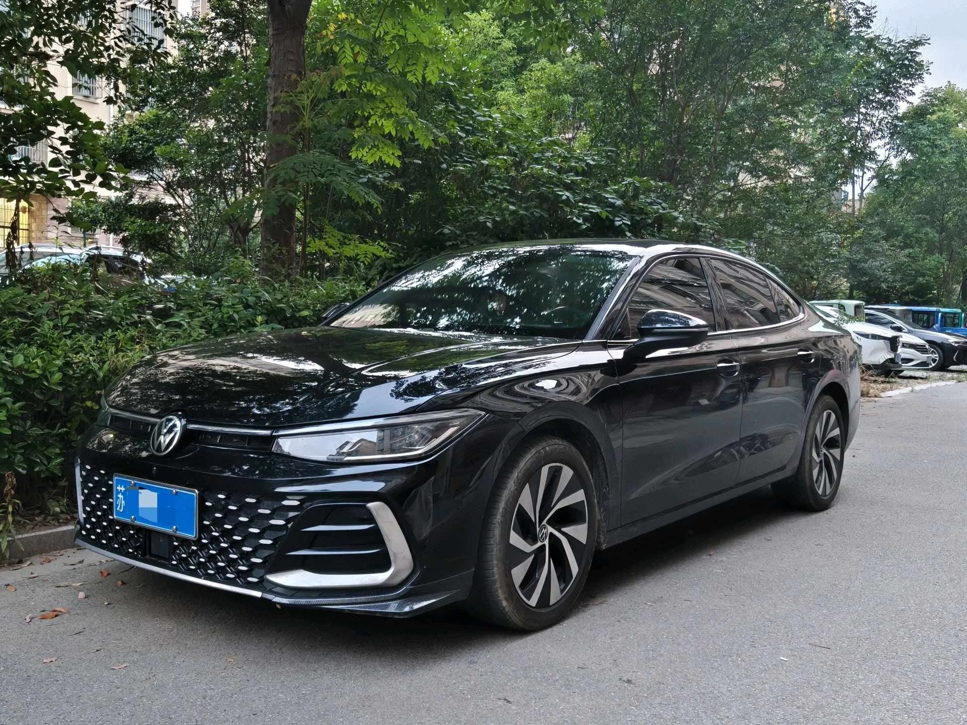 Volkswagen 2025 Passat Pro 2.0TSI 380TSI Starry Sky Dragon Edition Automatic Transmission