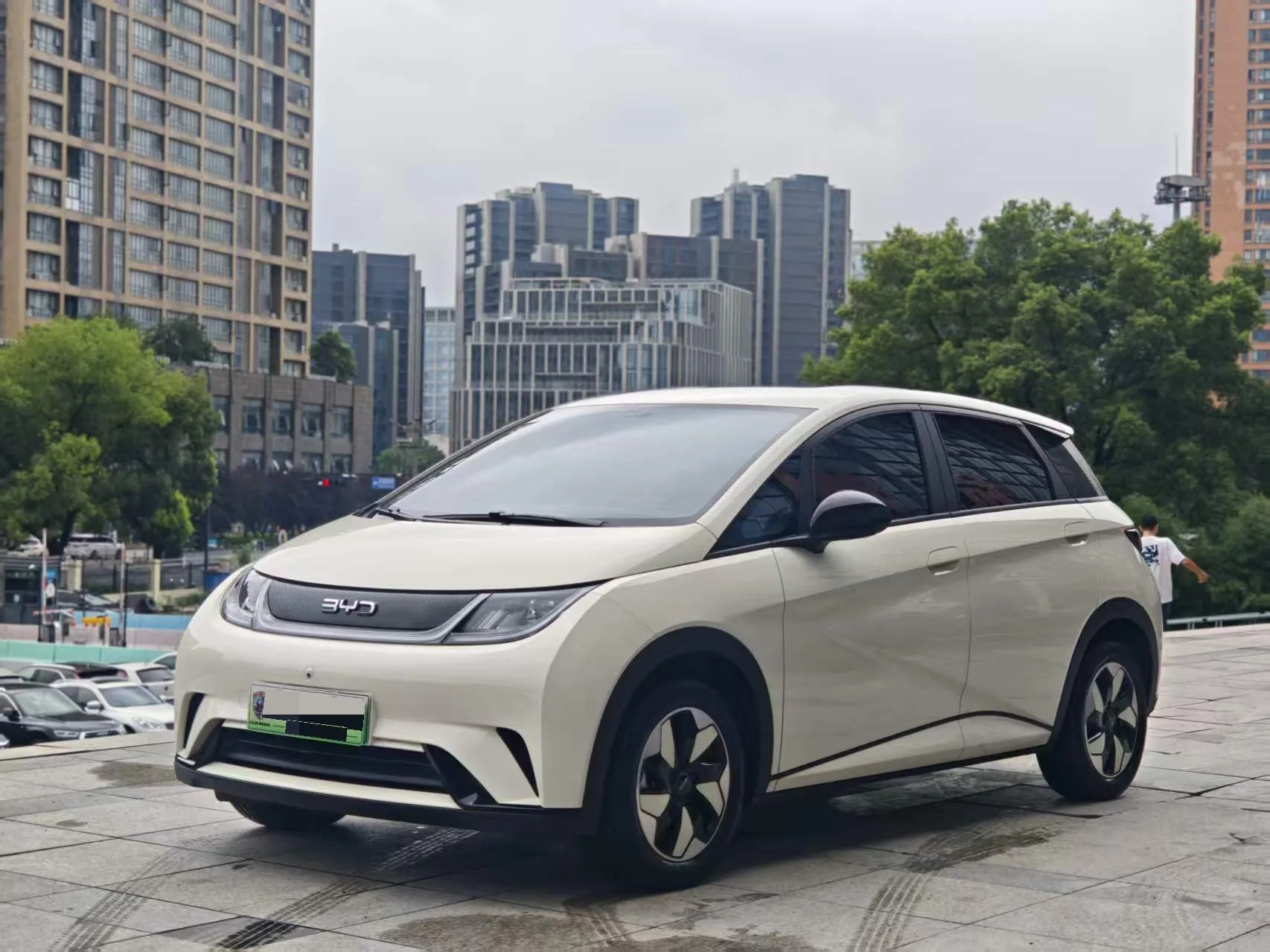 BYD 2025 Dolphin Smart Driving Edition 420km Freedom Edition Automatic Transmission