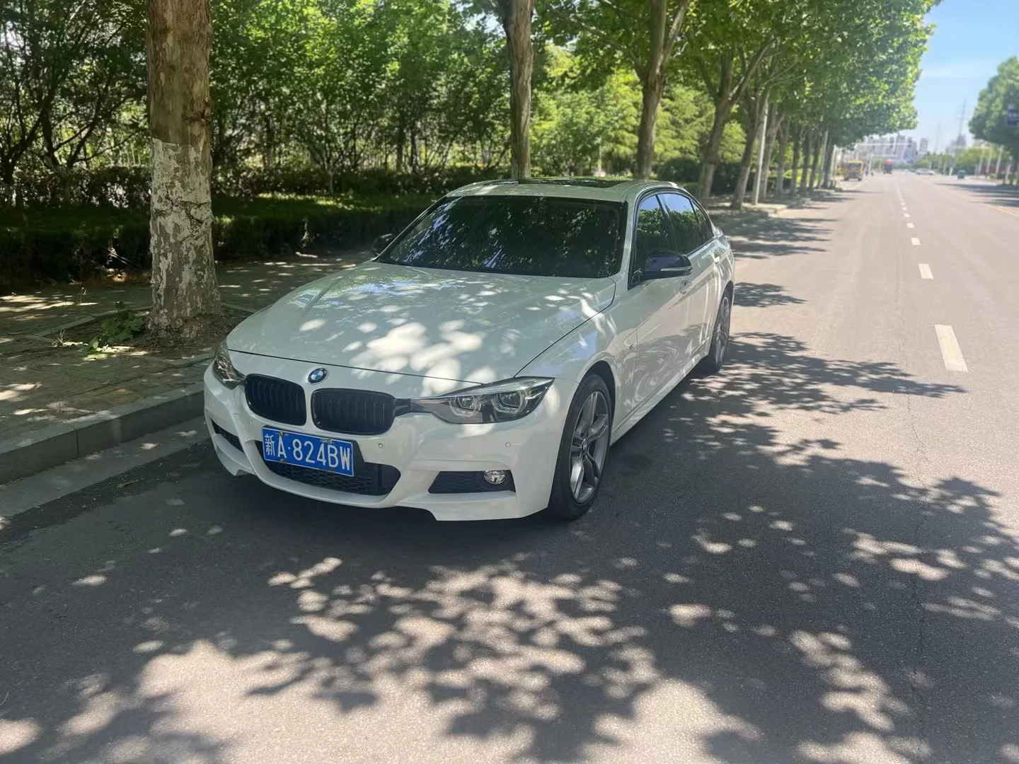 2019 BMW 3 Series 320Li M Sport Shadow Edition