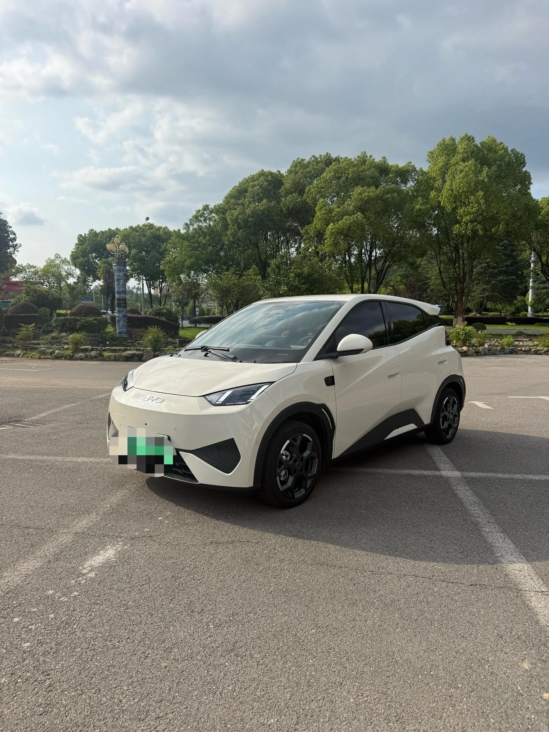 BYD 2025 Seagull Smart Driving Edition 305km Freedom Edition Automatic Transmission