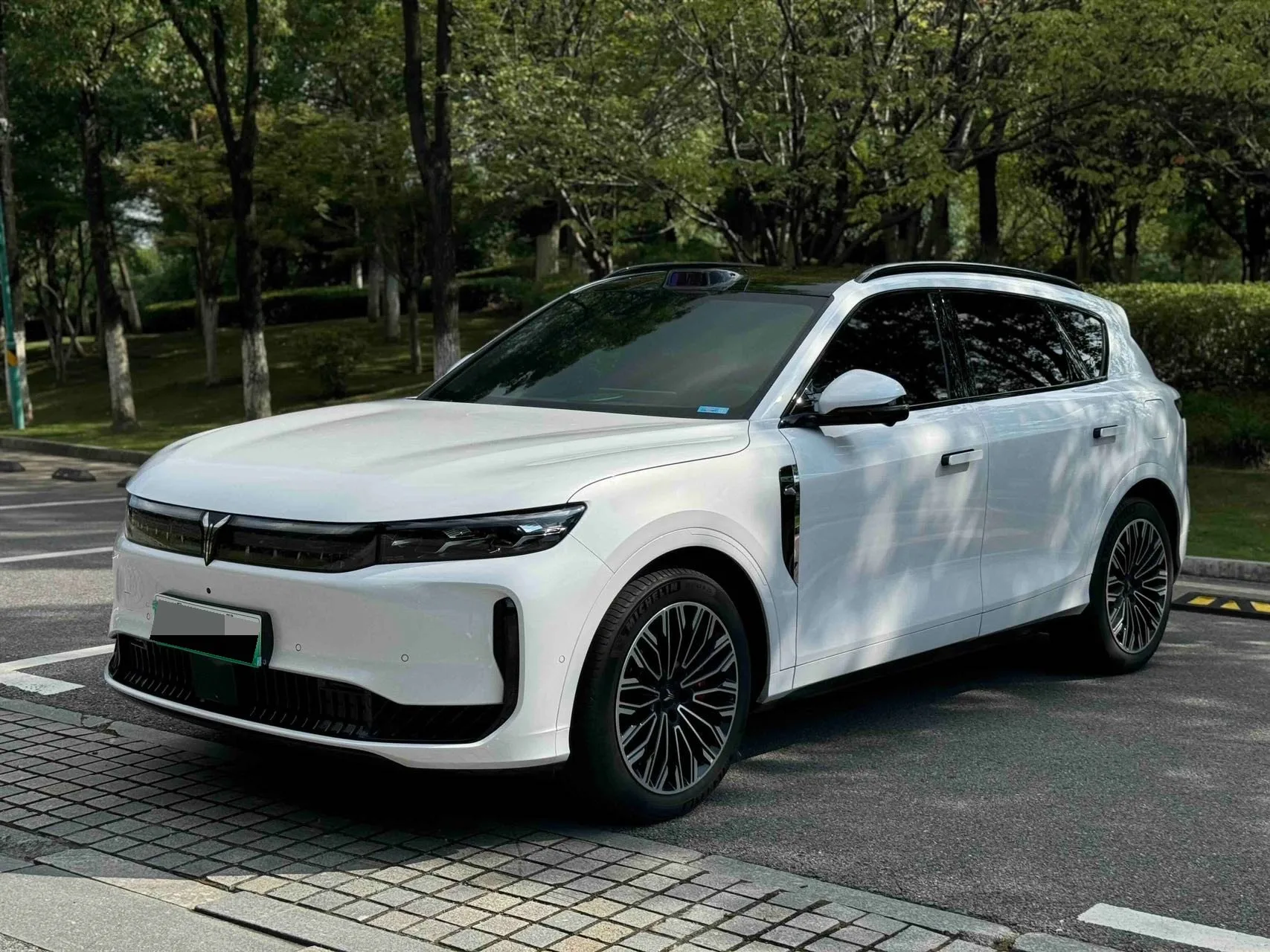 Voyah 2025 Free+ Rear-Wheel Drive Gankun Edition Automatic