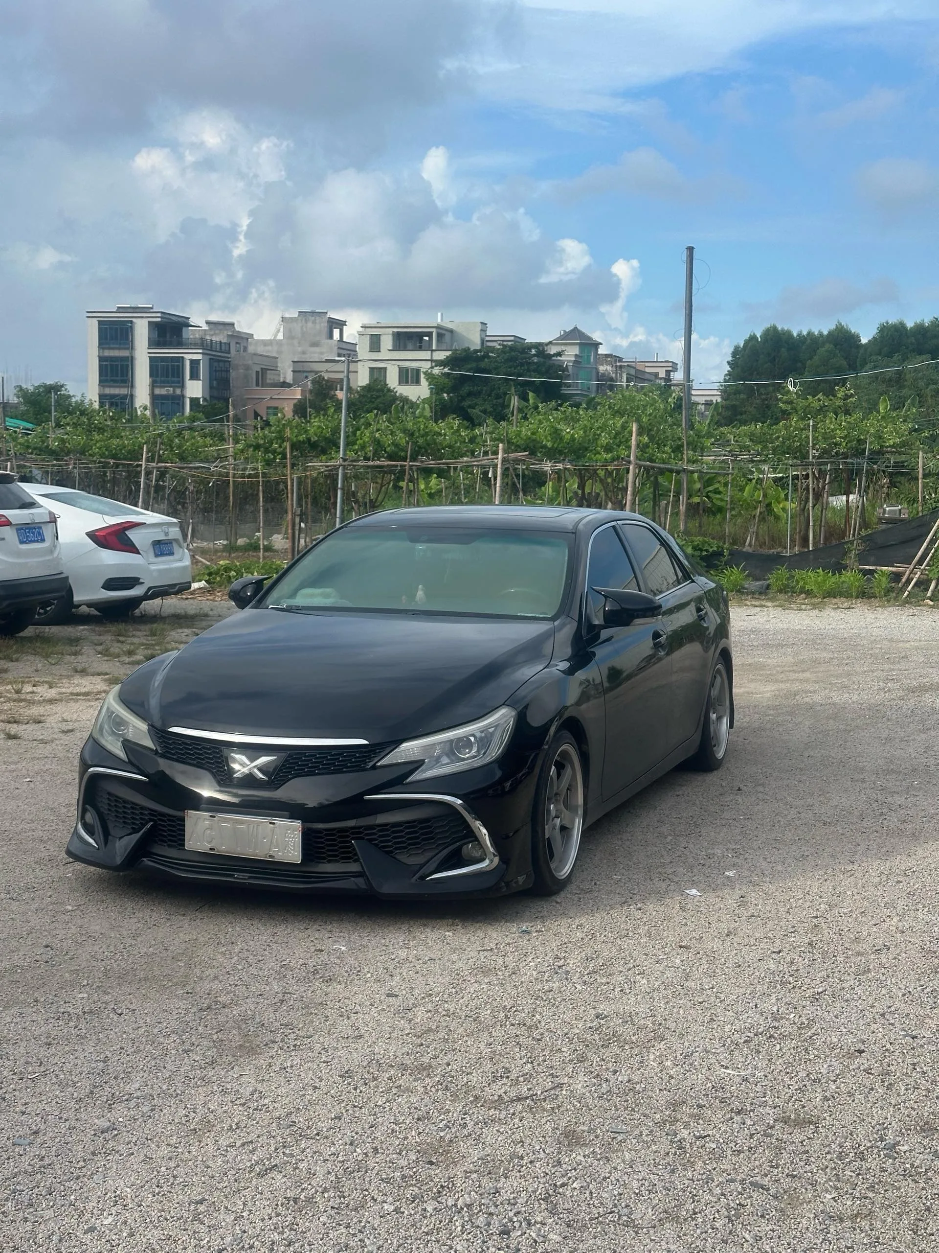 Reiz 2013 2.5V Elite Edition