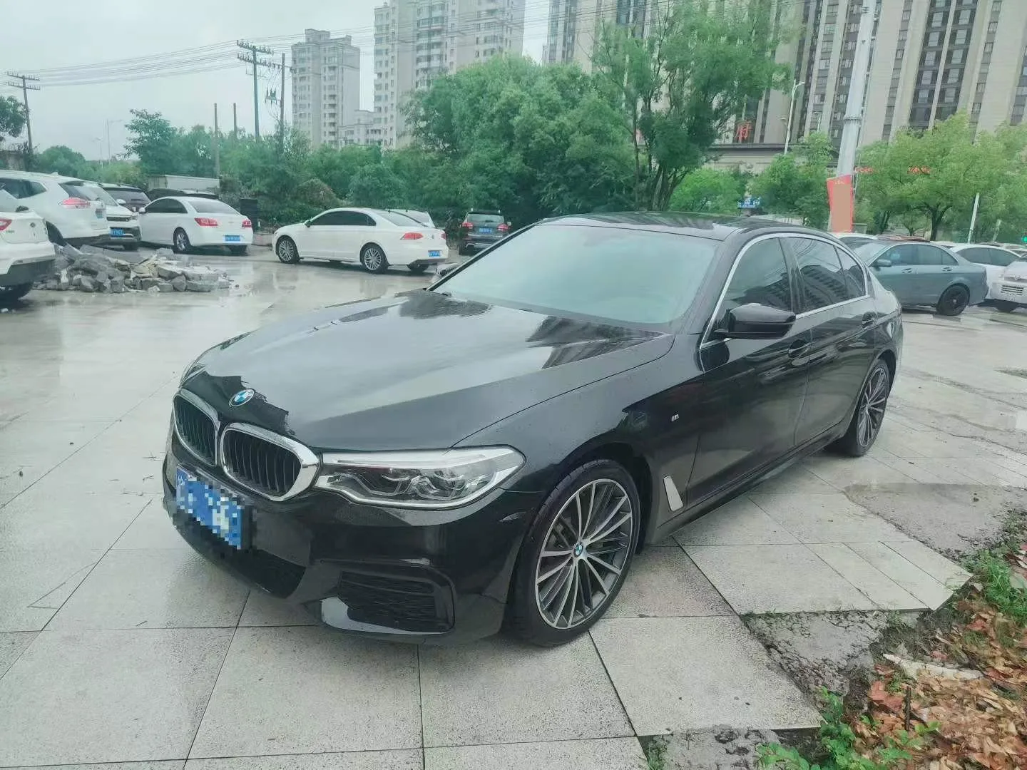 2020 宝马 5 系列 530升 领导 版 和 M 运动 包裹