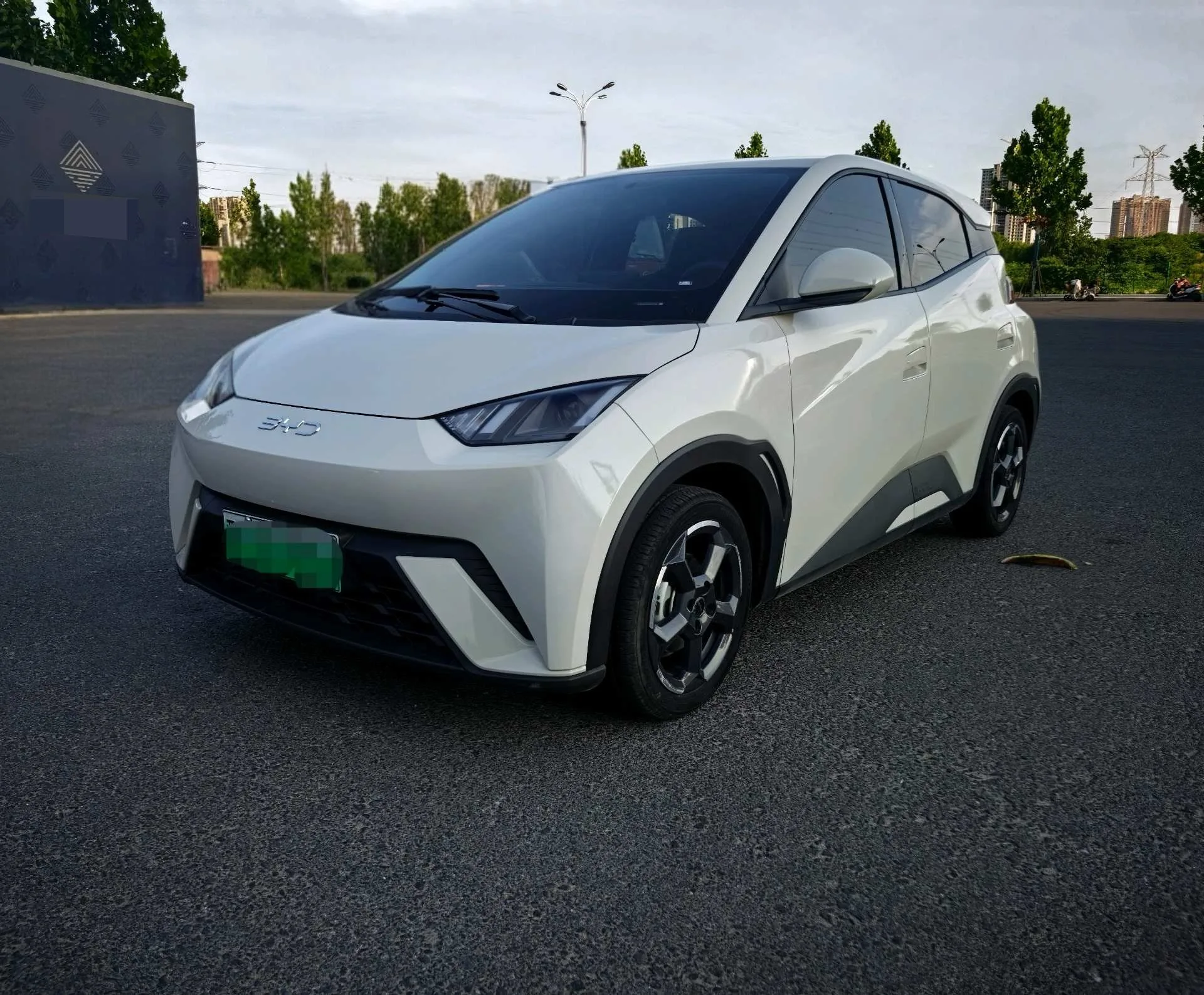 BYD 2023 Seagull Freedom Edition Automatic