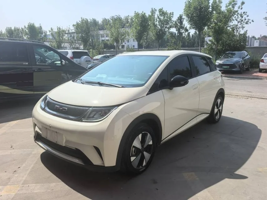 BYD 2023 Dolphin 420km Freedom Edition Automatic
