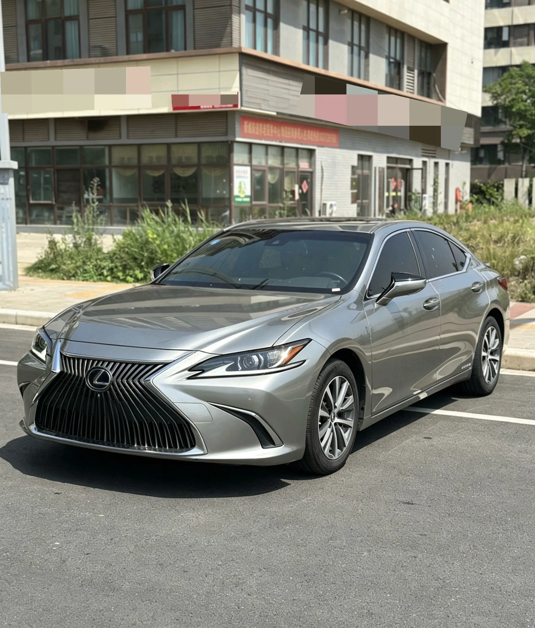 Lexus ES 2018 300h Premium Edition (China V Emission Standard)