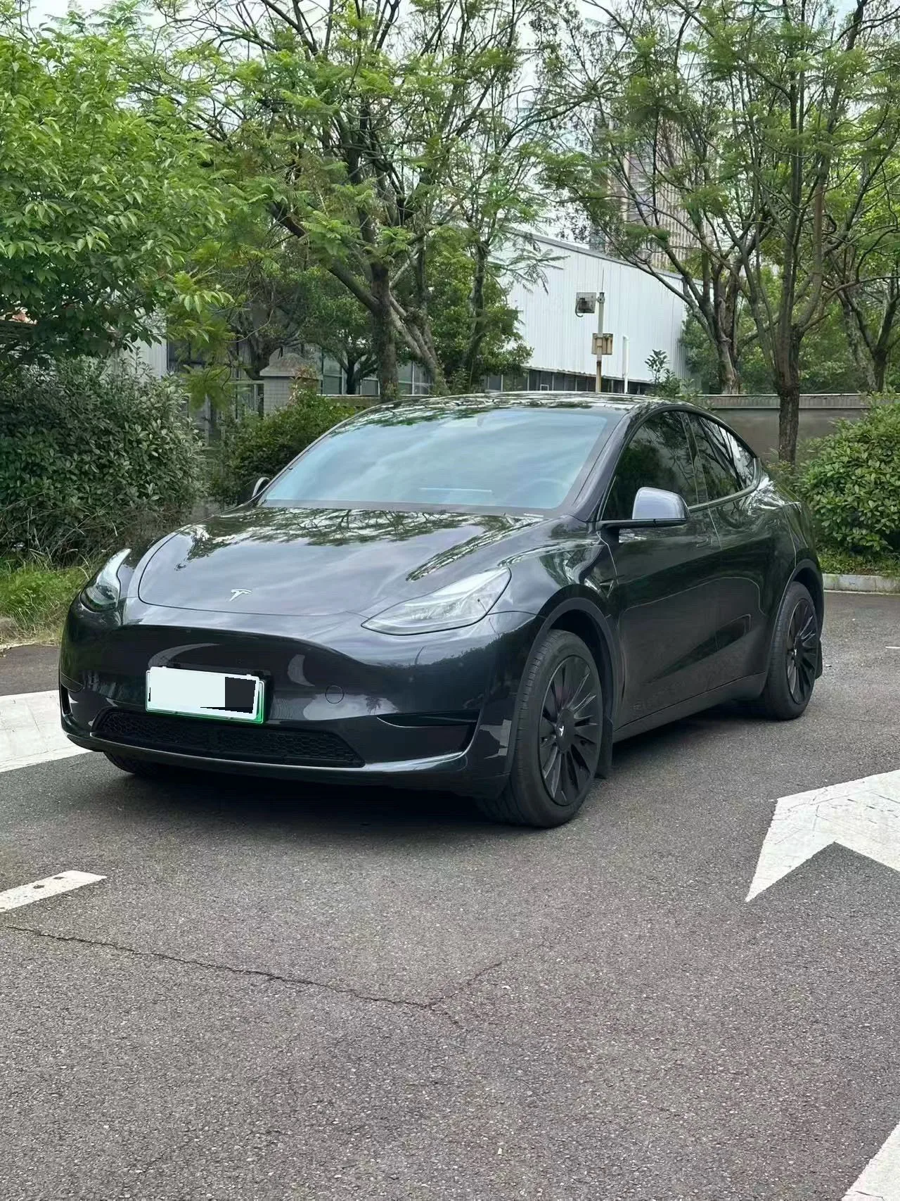 Model Y 2024 Rear-Wheel Drive