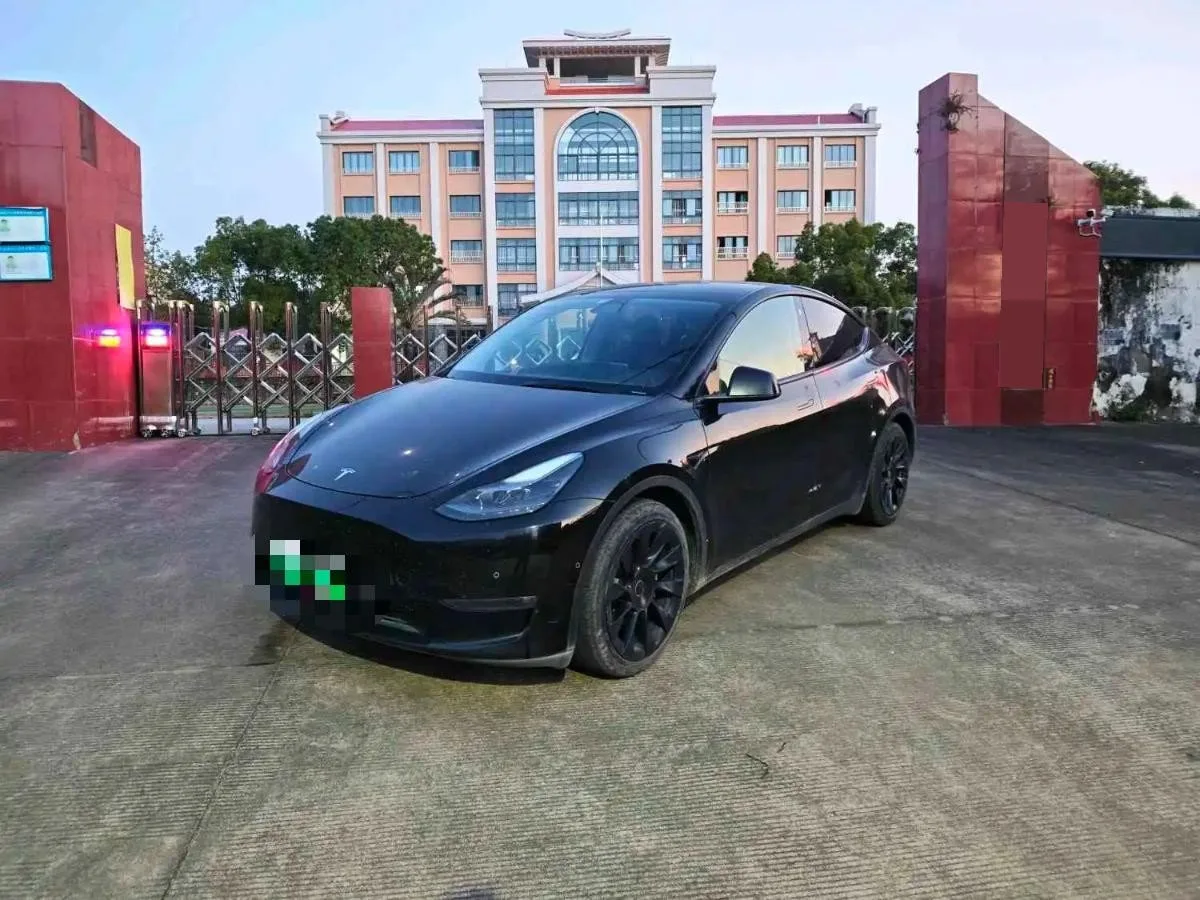 Model Y 2021 Standard Range Rear-Wheel Drive