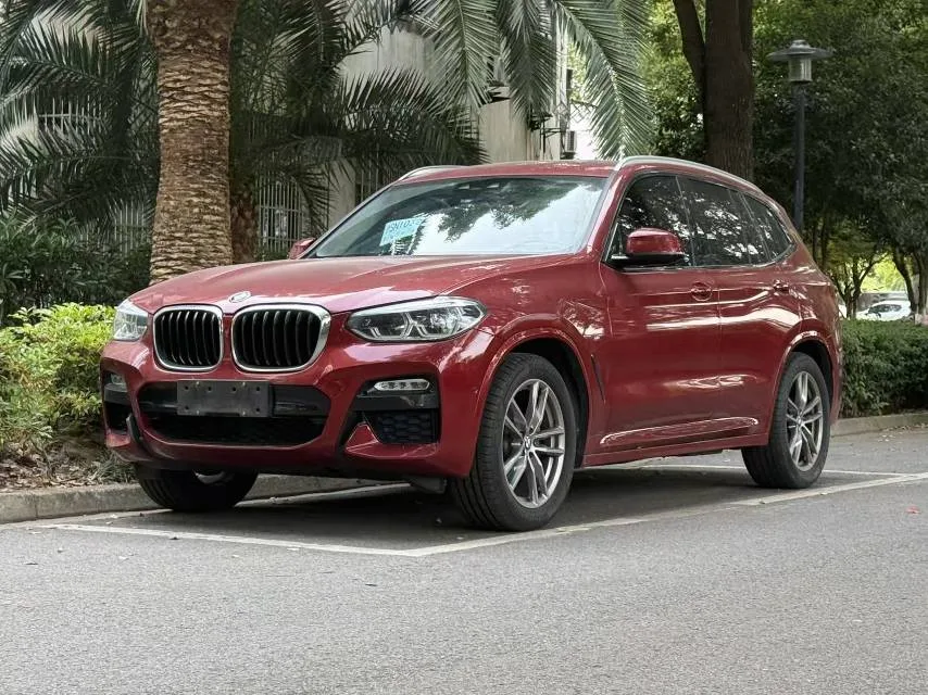 BMW X3 2019 xDrive25i M Sport Package