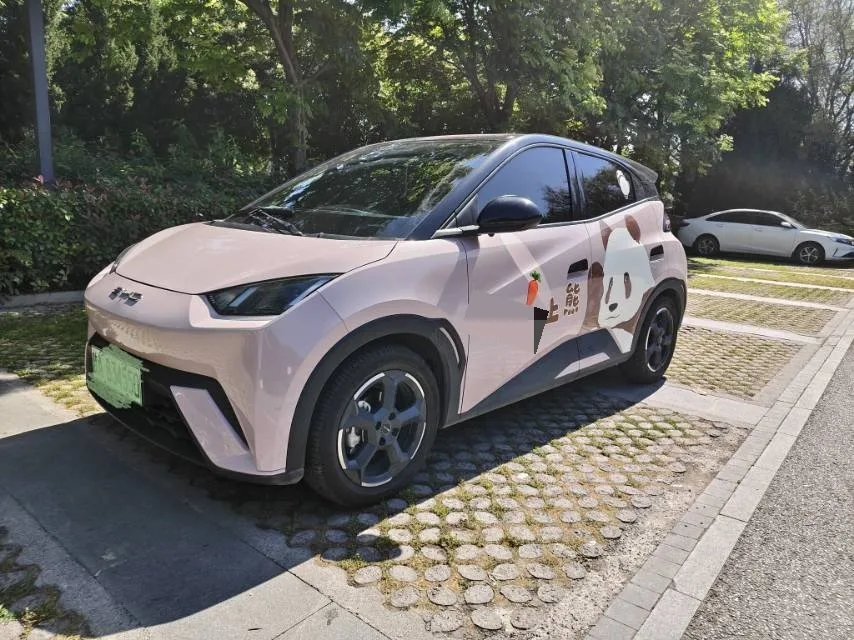 BYD 2023 Seagull Flying Edition Automatic