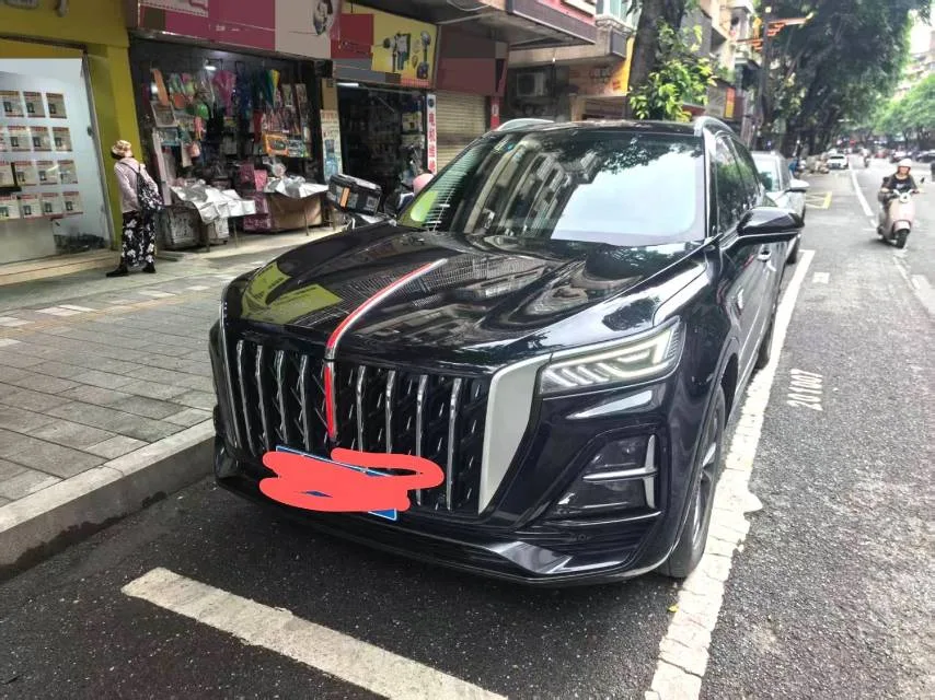 Hongqi 2023 HS5 2.0T Flagship Pro 500,000th Unit Commemorative Edition Automatic Transmission