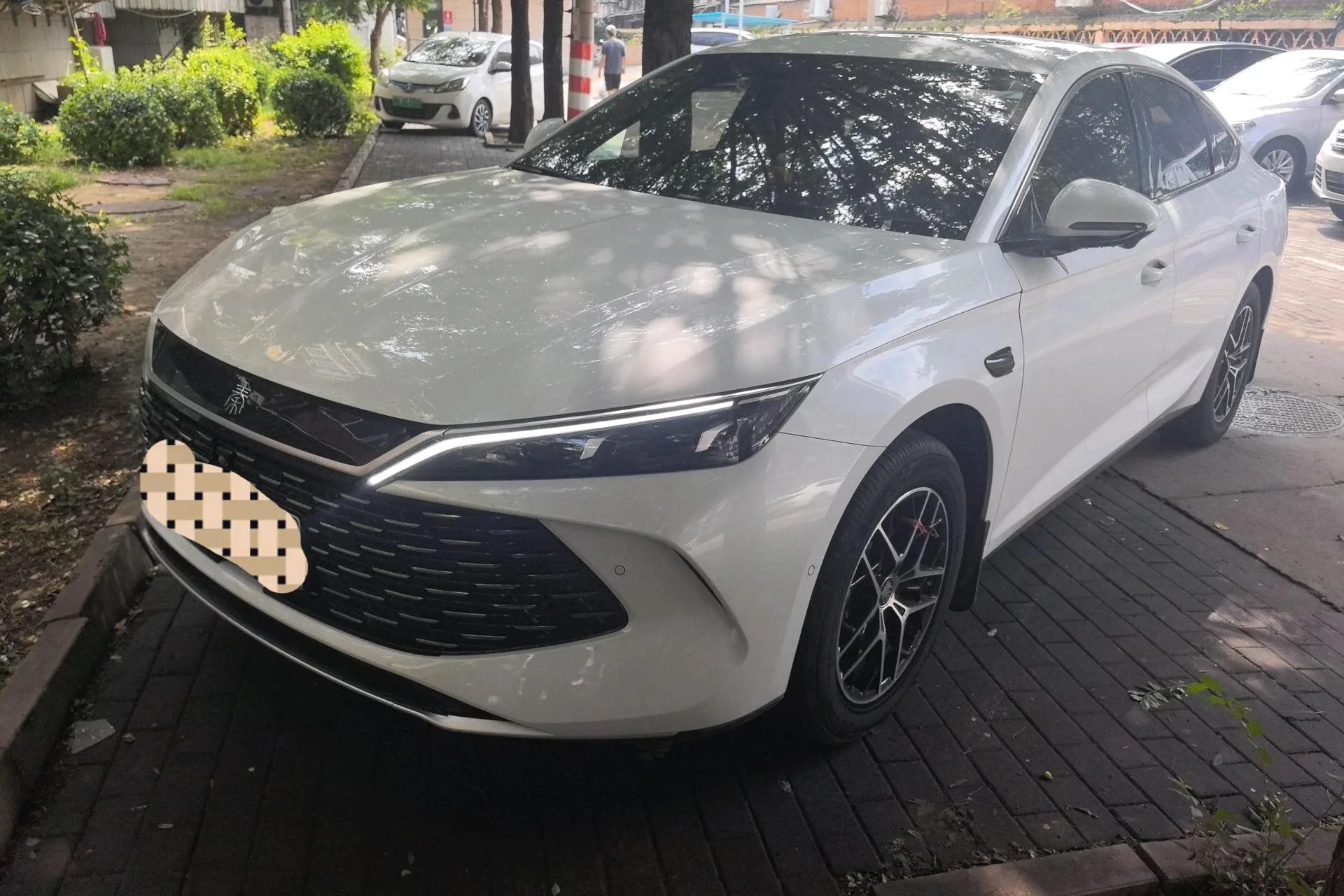 BYD 2026 Qin L DM-i 1.5 CVT 210KM Superior Edition Automatic Transmission