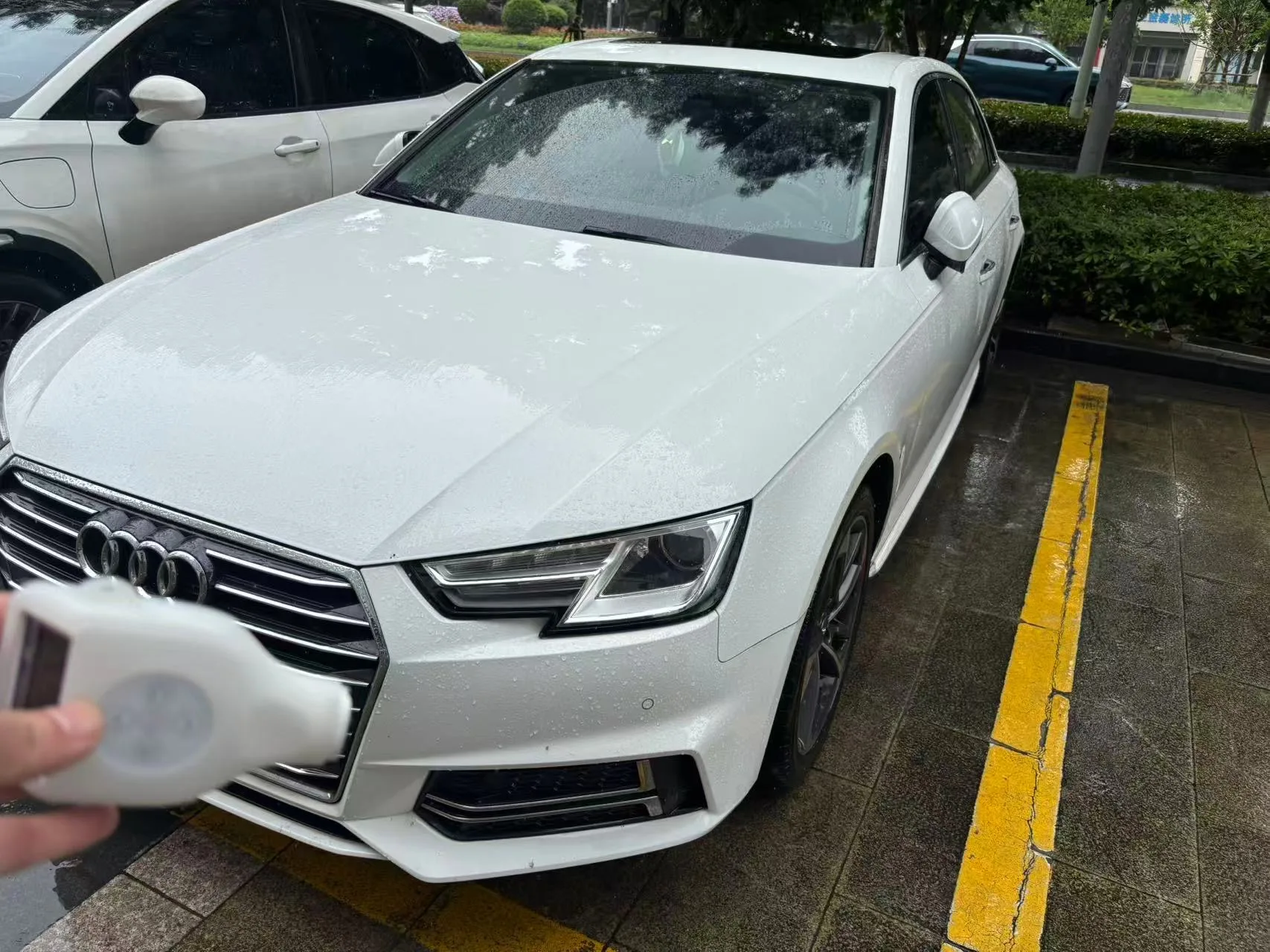 Audi A4L 2019 40 TFSI Progressive (China VI Emission Standard)