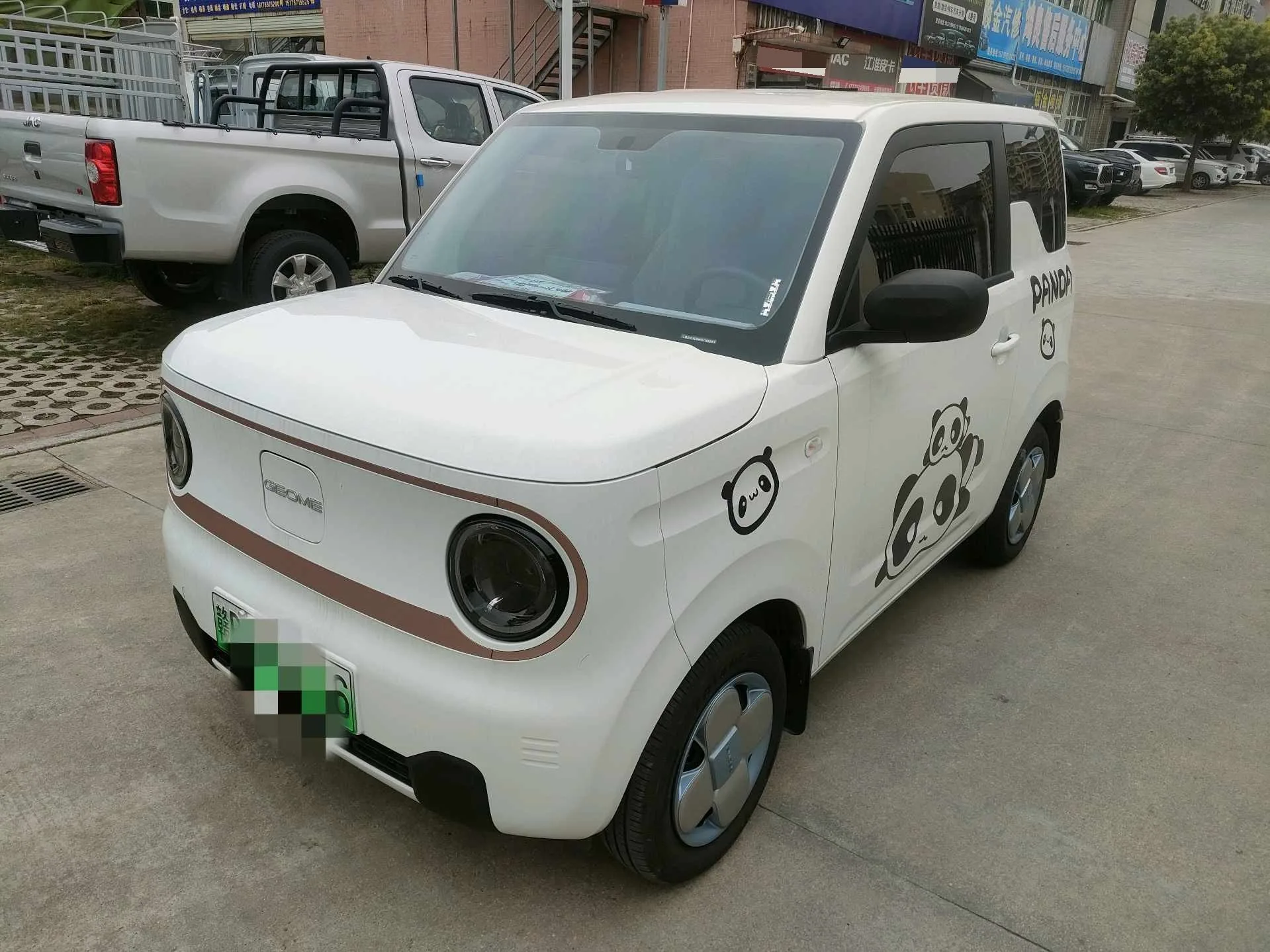 Panda 2024 Panda Mini 200km Endurance Bear