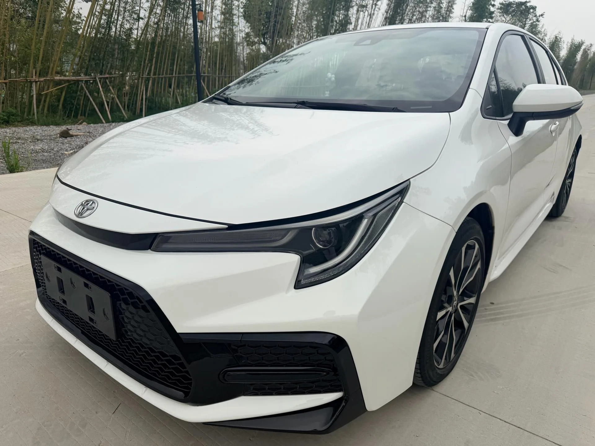 Levin 2022 185T CVT Sport Edition