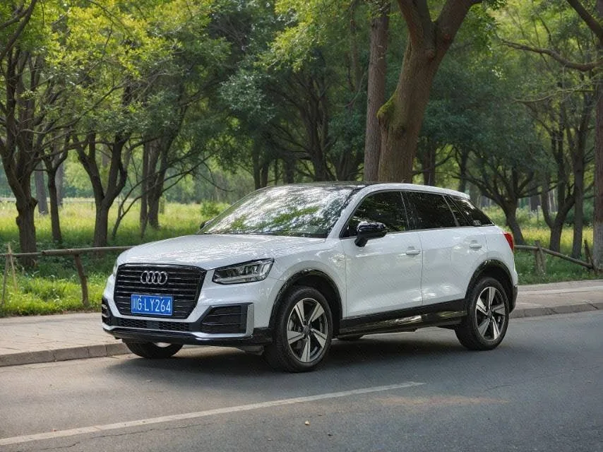 Audi Q2L 2018 35 TFSI Fashion Dynamic Edition (National V Emission Standard)