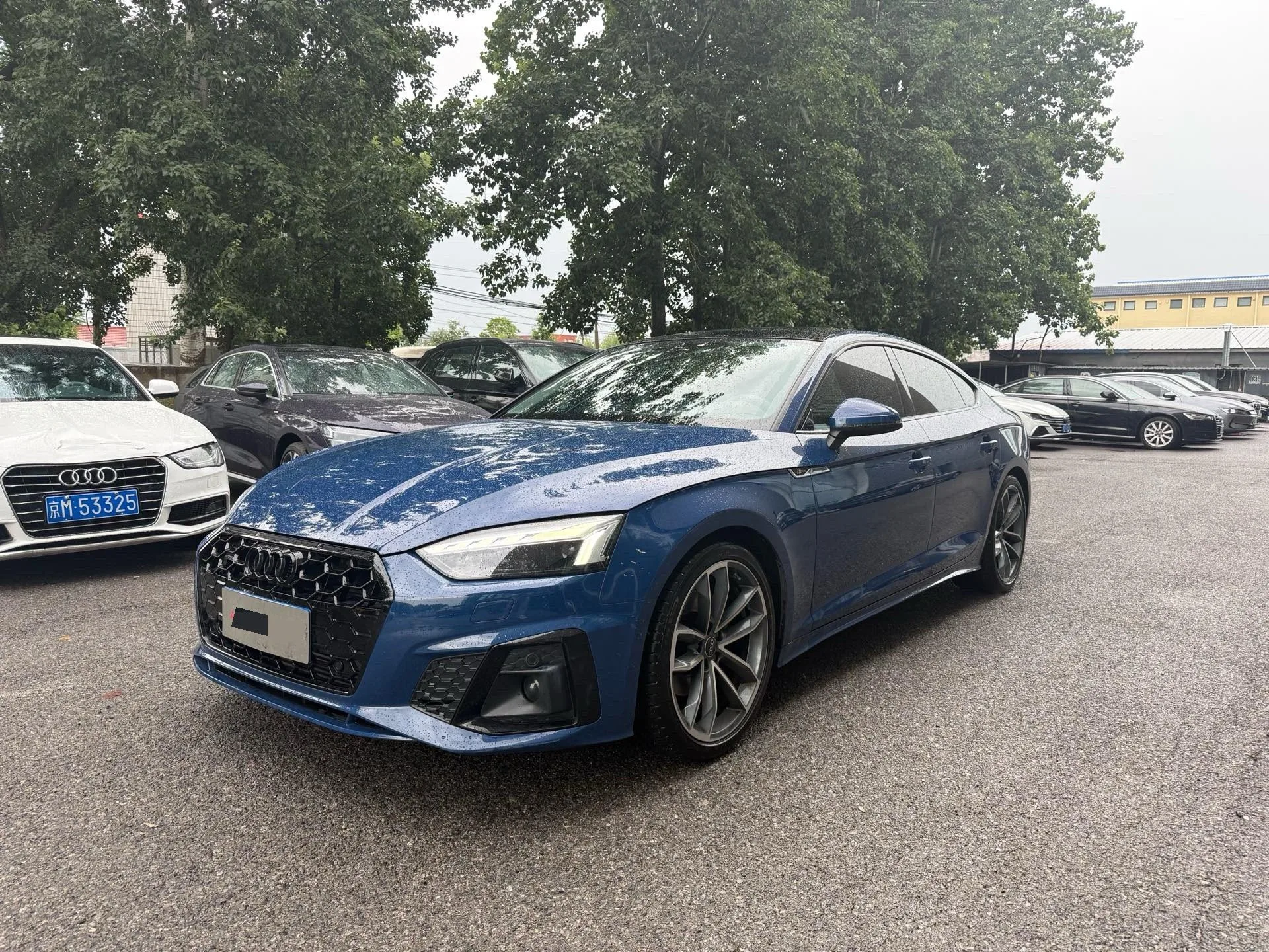 Audi A5 2023 Sportback 40 TFSI quattro Luxury Dynamic