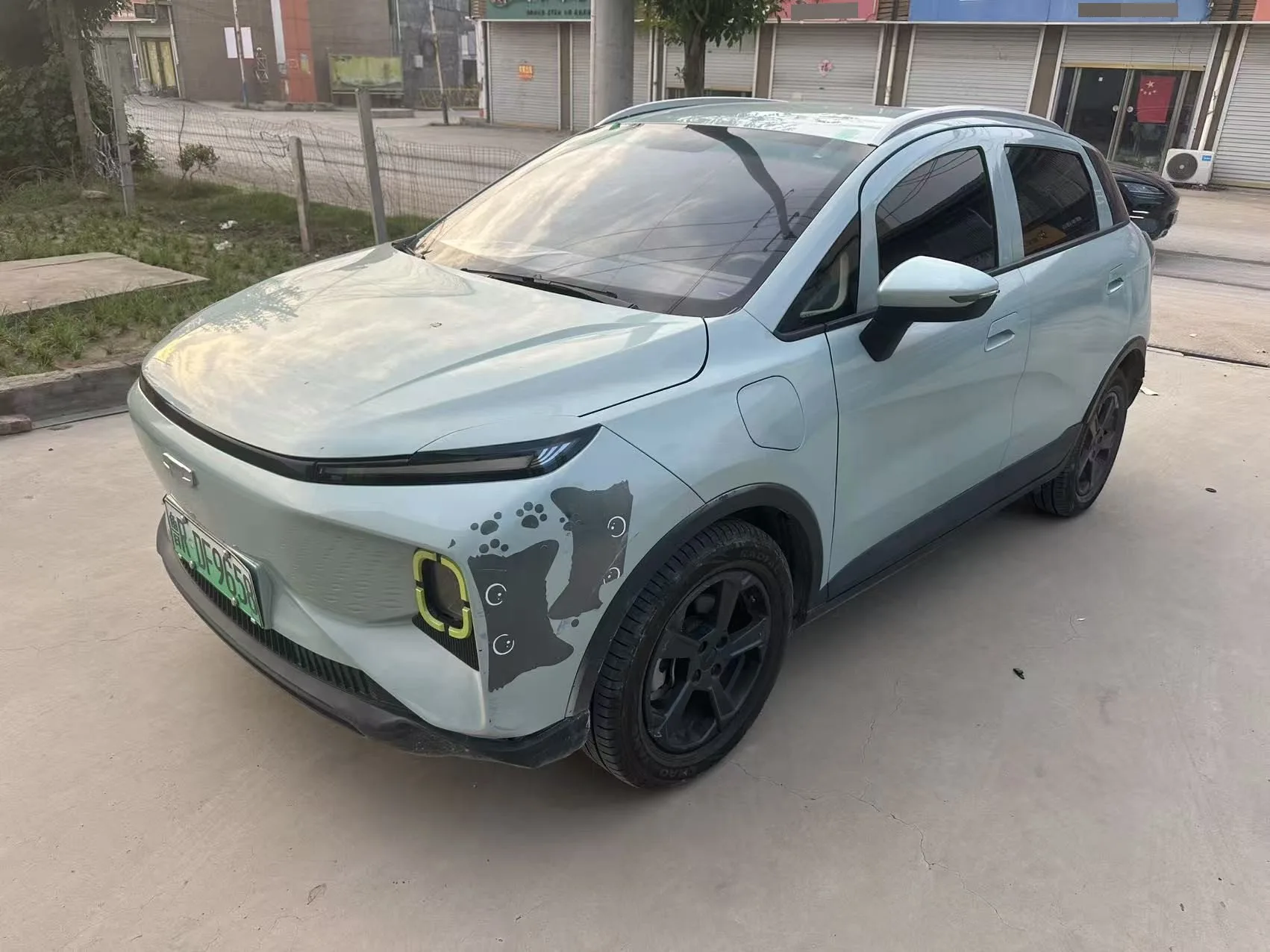 Geometry E 2022 Model, 320KM, "Well-Behaved Tiger," 4-Seater