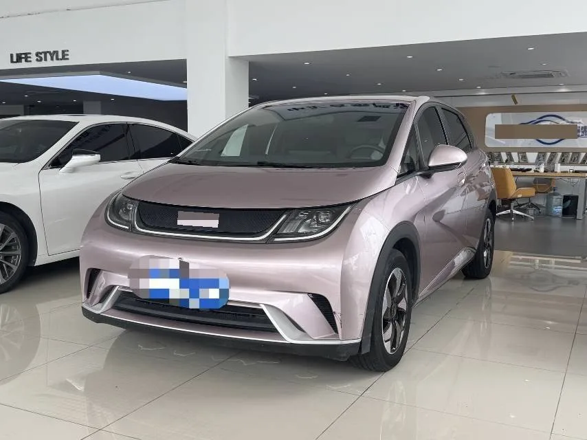 BYD 2024 Dolphin Glory Edition 420km Freedom Edition Automatic Transmission