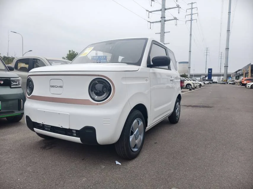 Panda 2024 Panda Mini 200km Endurance Bear