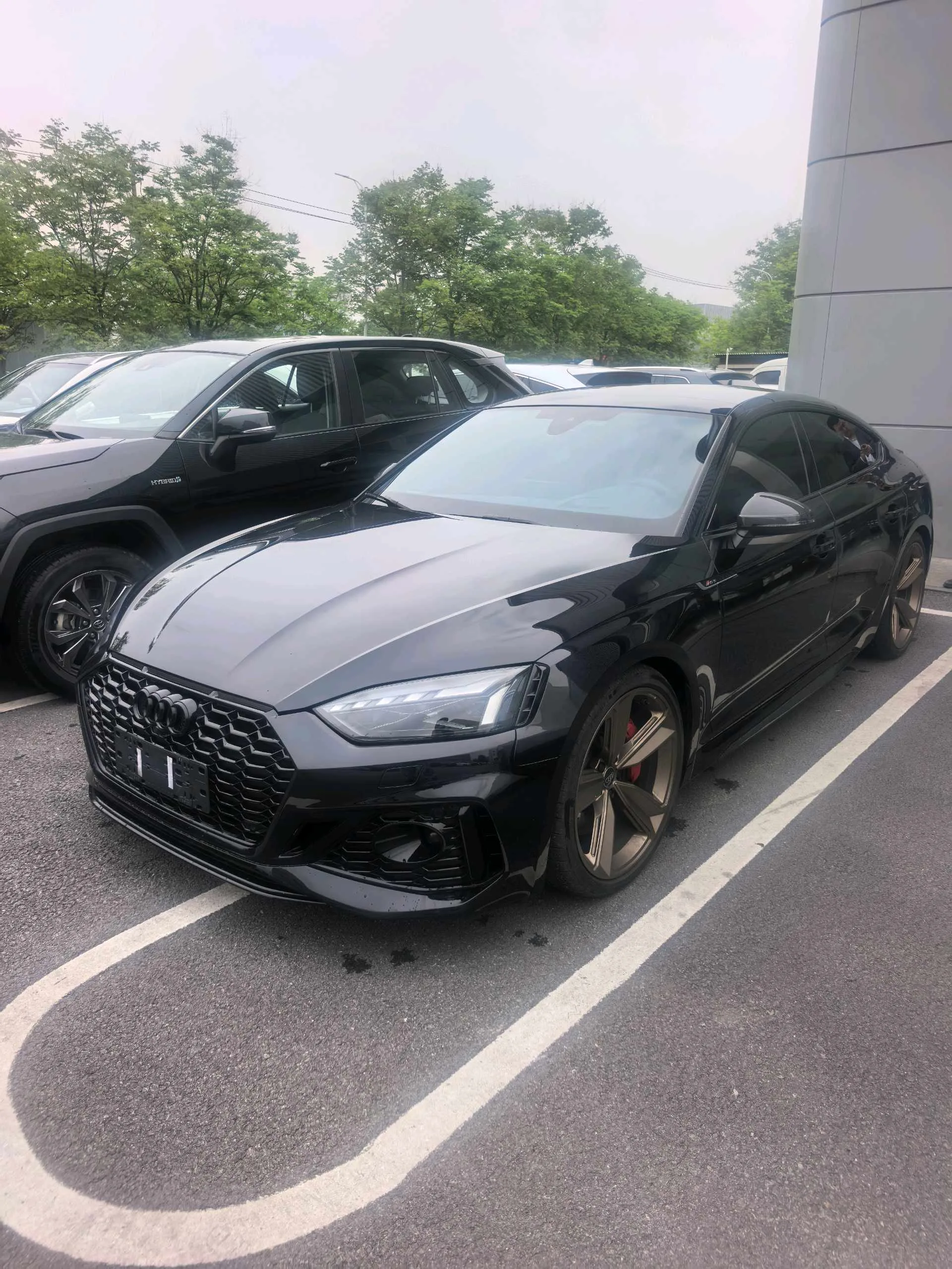 2023 Audi RS5 (Imported) RS5 Sportback 2.9TFSI Obsidian Edition Automatic