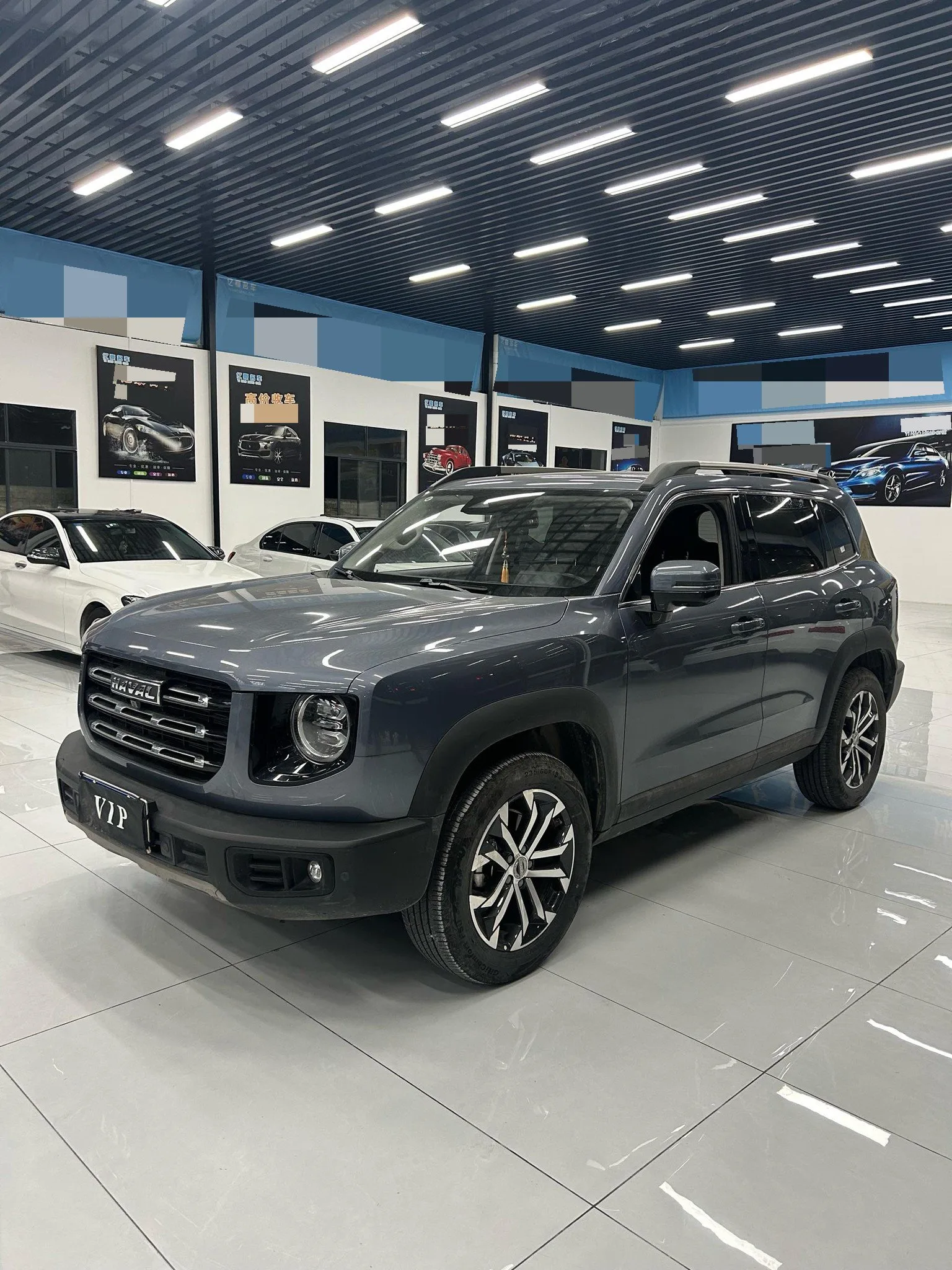 Haval Big Dog 2022 1.5T DCT 2WD Border Collie Edition
