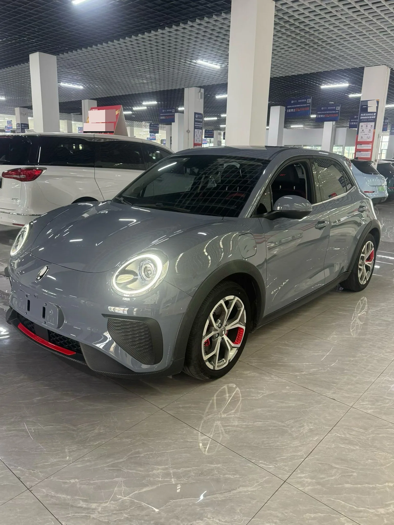 Ola Good Cat GT 2022 Mulan Edition, 480 km Long Range
