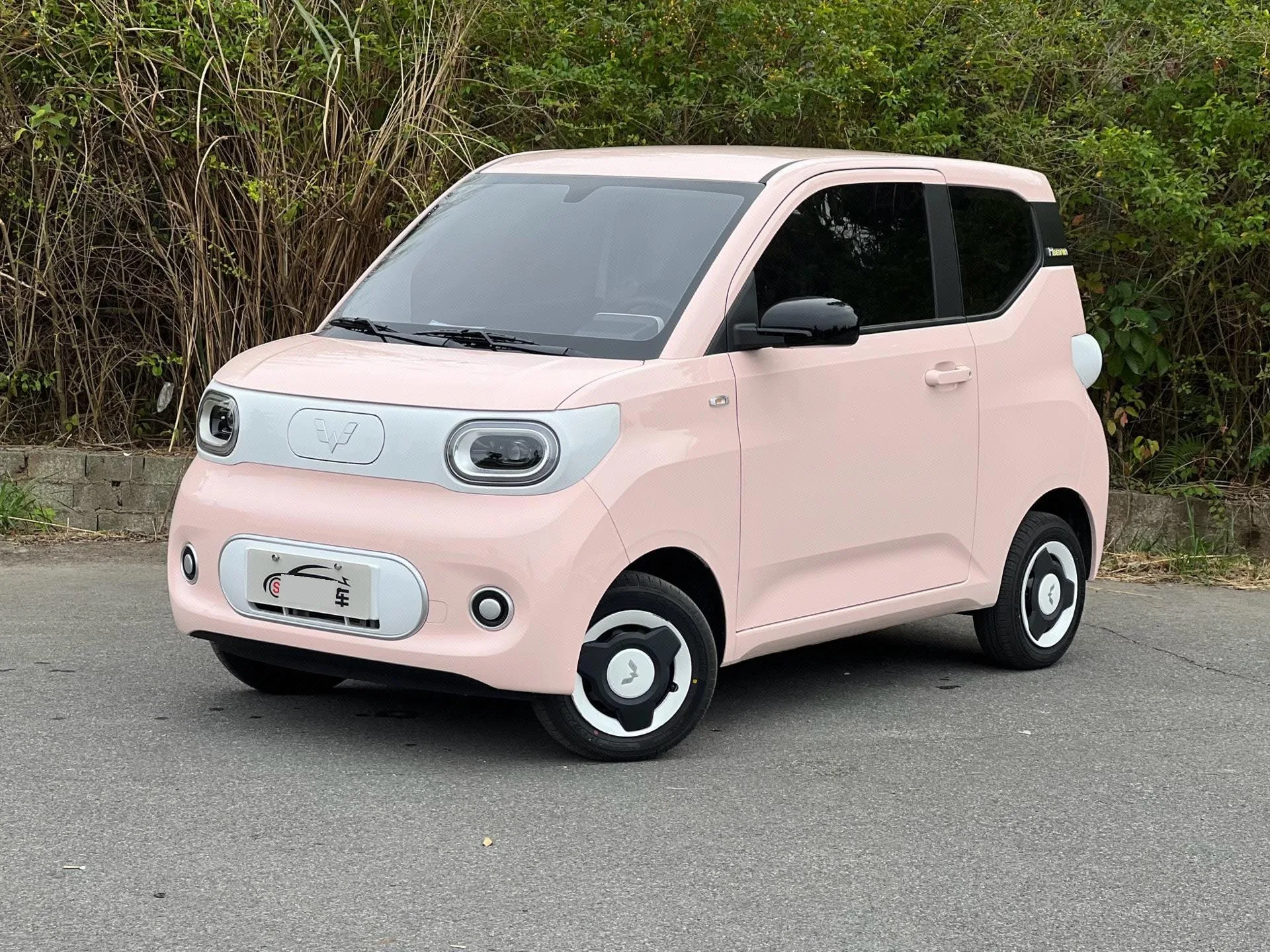 Wuling 2024 Hongguang MINI EV 215km Youth Edition Automatic