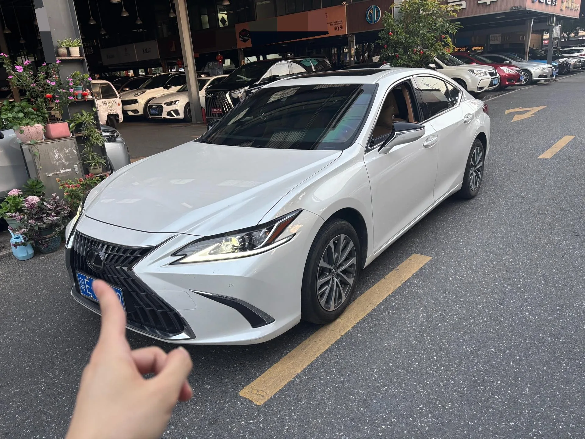 Lexus ES 2023 200 Premium Edition