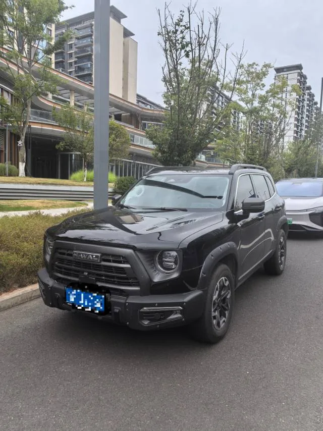Haval 2024 Big Dog 2.0T Chinese Rural Dog Edition Automatic Transmission