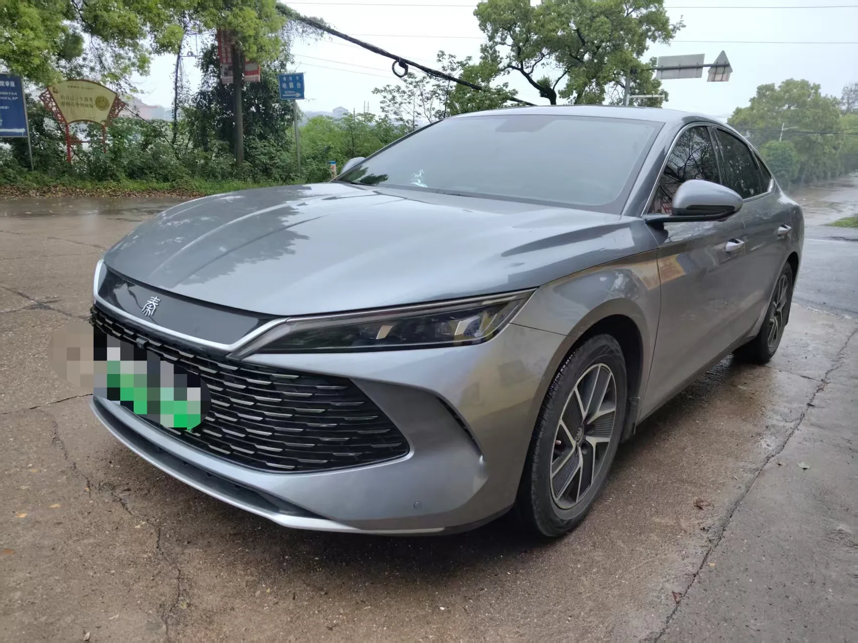 Qin L 2024 DM-i 80KM Leading Edition