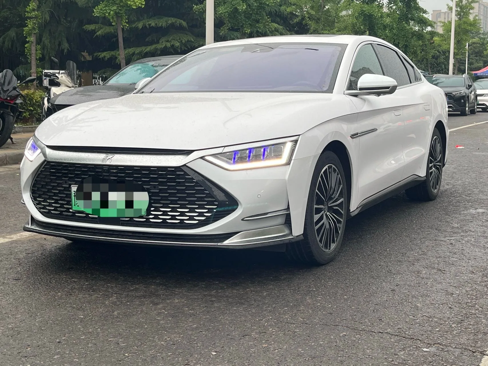 2020 Han DM 4WD Performance Premium Edition