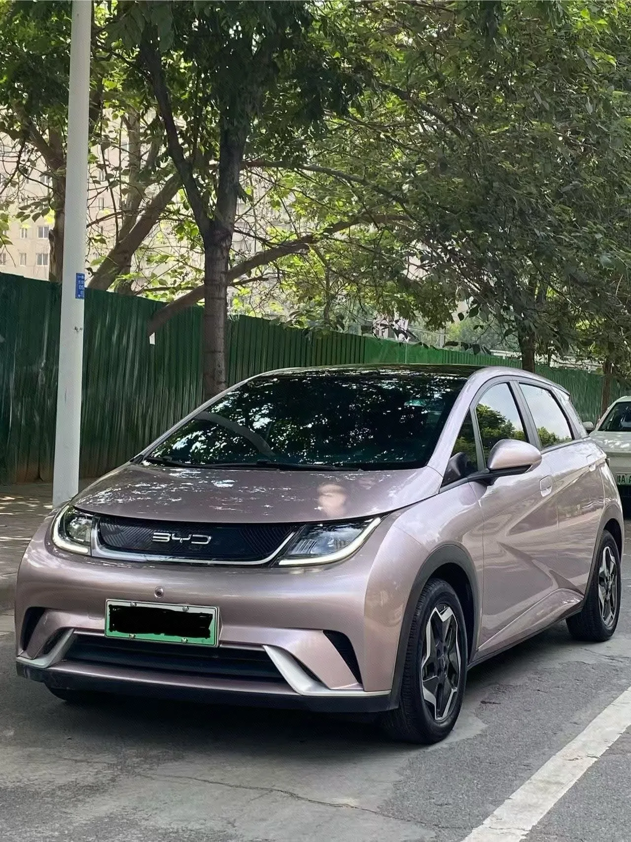 BYD 2023 Dolphin 420km Fashion Edition Automatic