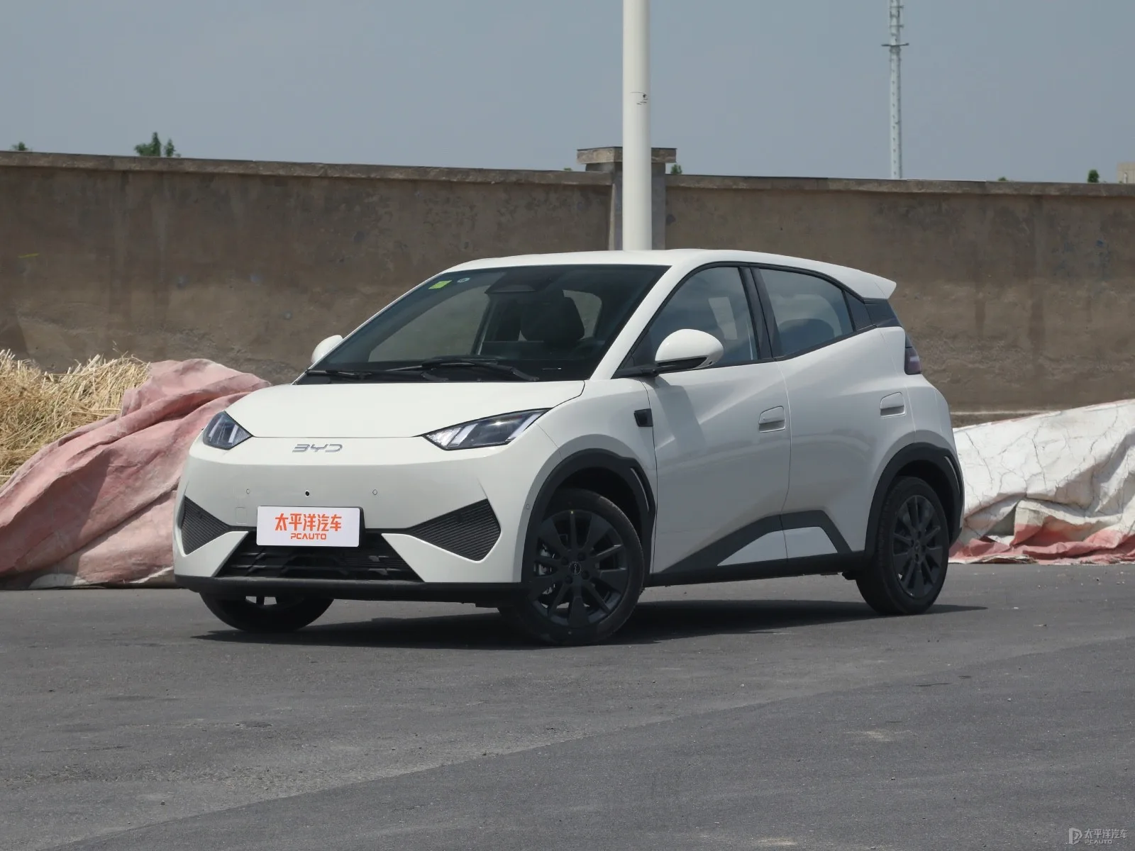 BYD Seagull Freedom Edition — Authorized new car for export from China (listing thumbnail)