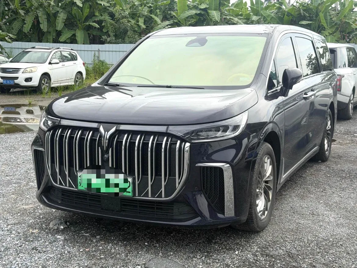 Dreamer 2024 PHEV Ultra-Long Range Flagship Edition