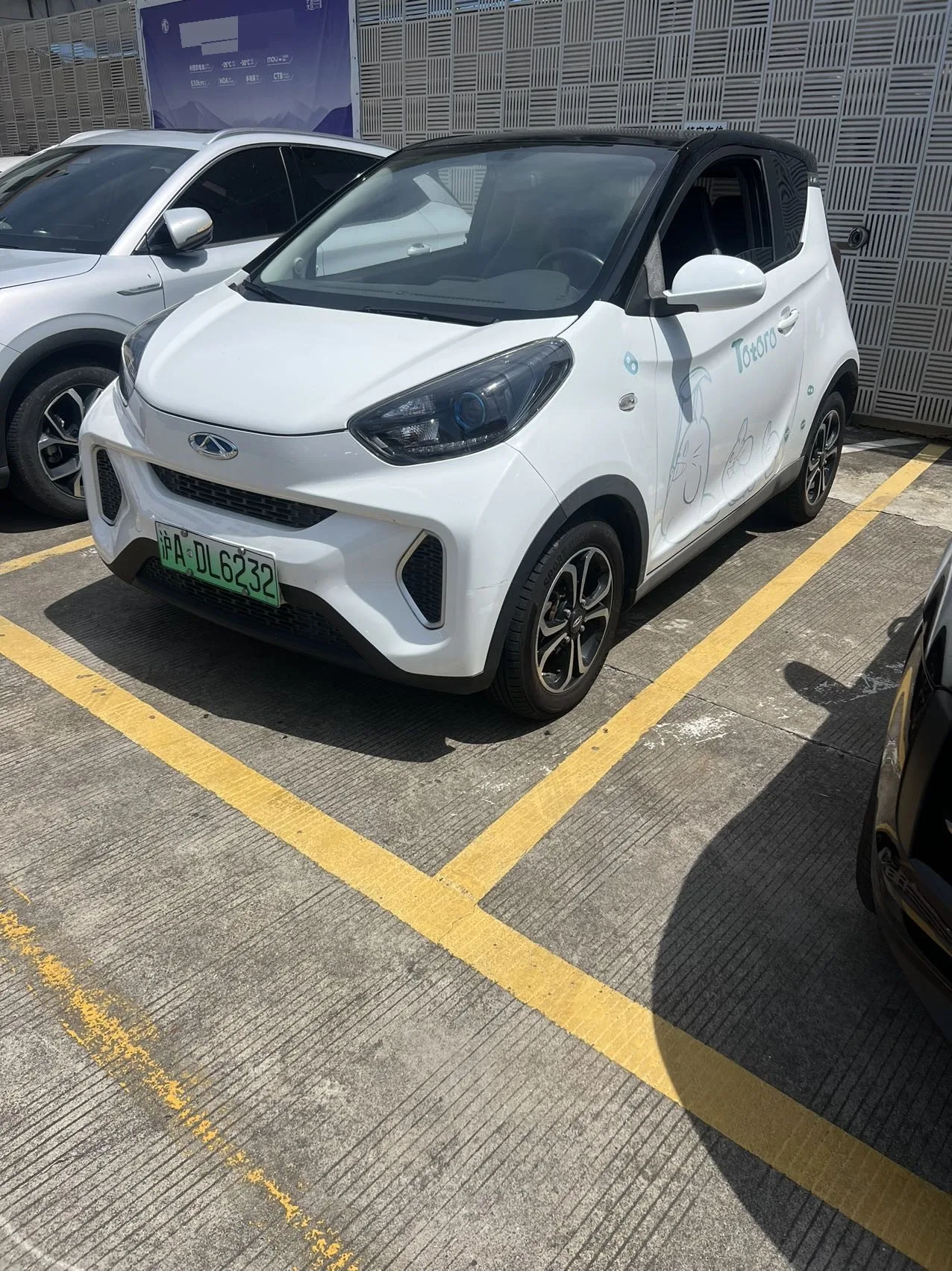 Little Ant 2019 4-seater Smart Edition 35kWh