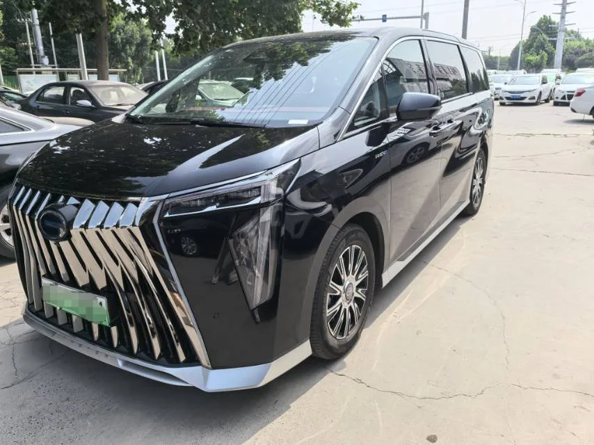 Trumpchi 2023 E9 2.0T Champion Edition Automatic