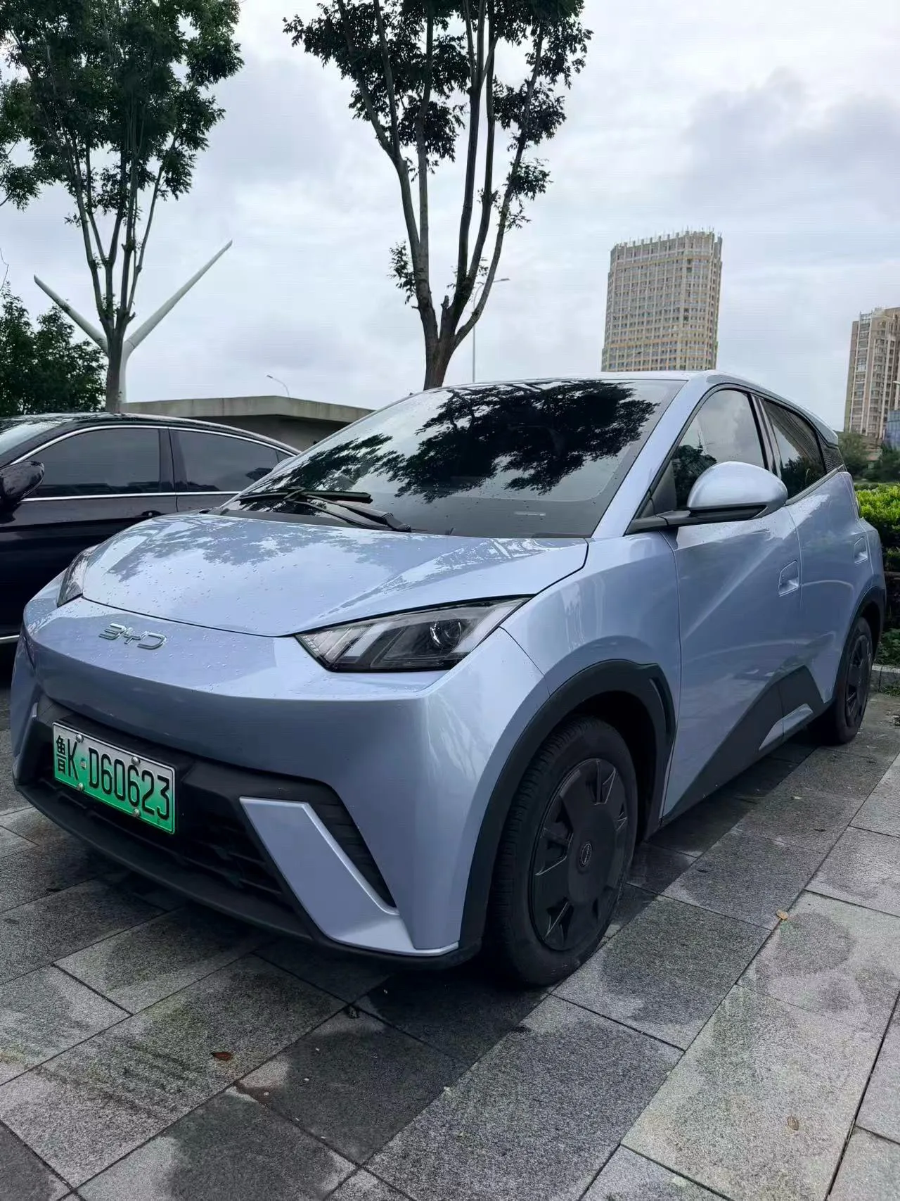 BYD 2025 Seagull 305km/h Vitality Edition Automatic