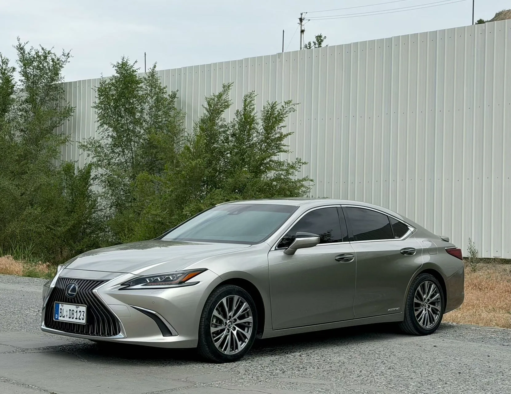 2018 Lexus ES 300h Premium Edition (China V)