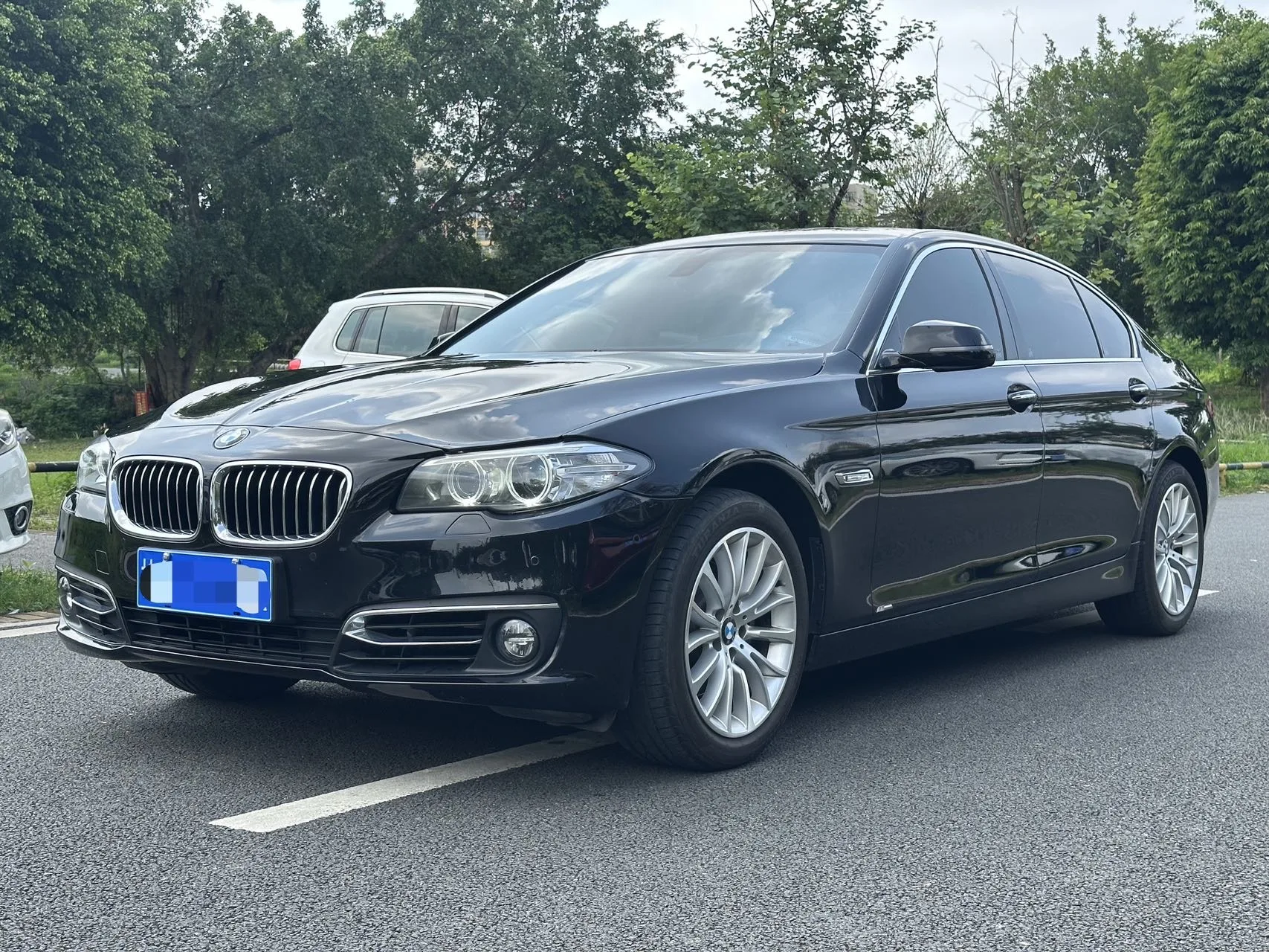 2014 BMW 5 Series 525Li Luxury Design Package