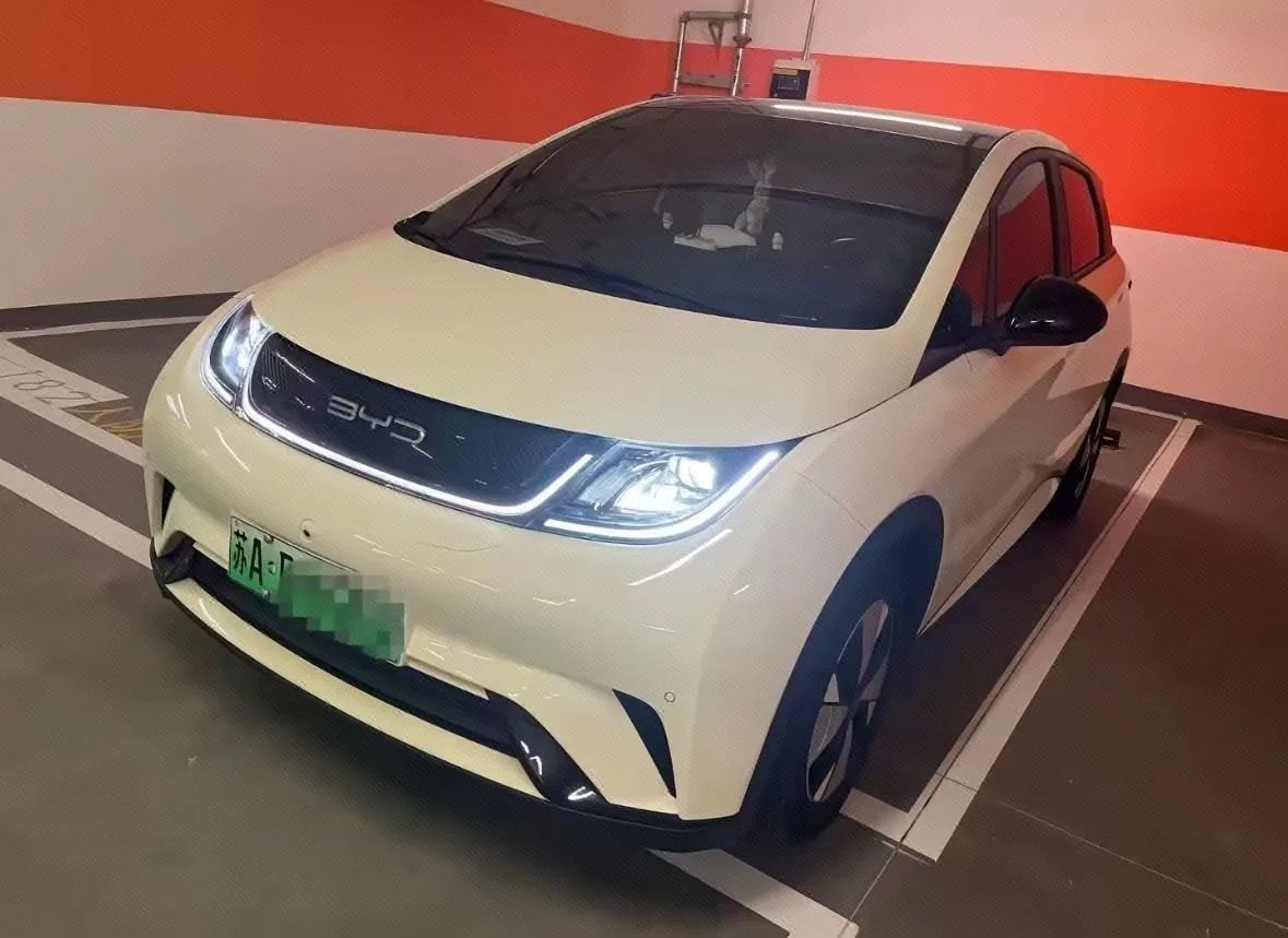 BYD 2023 Dolphin 420km Fashion Edition Automatic