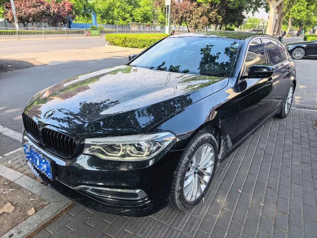 2020 BMW 5 Series 530Li xDrive Luxury Package
