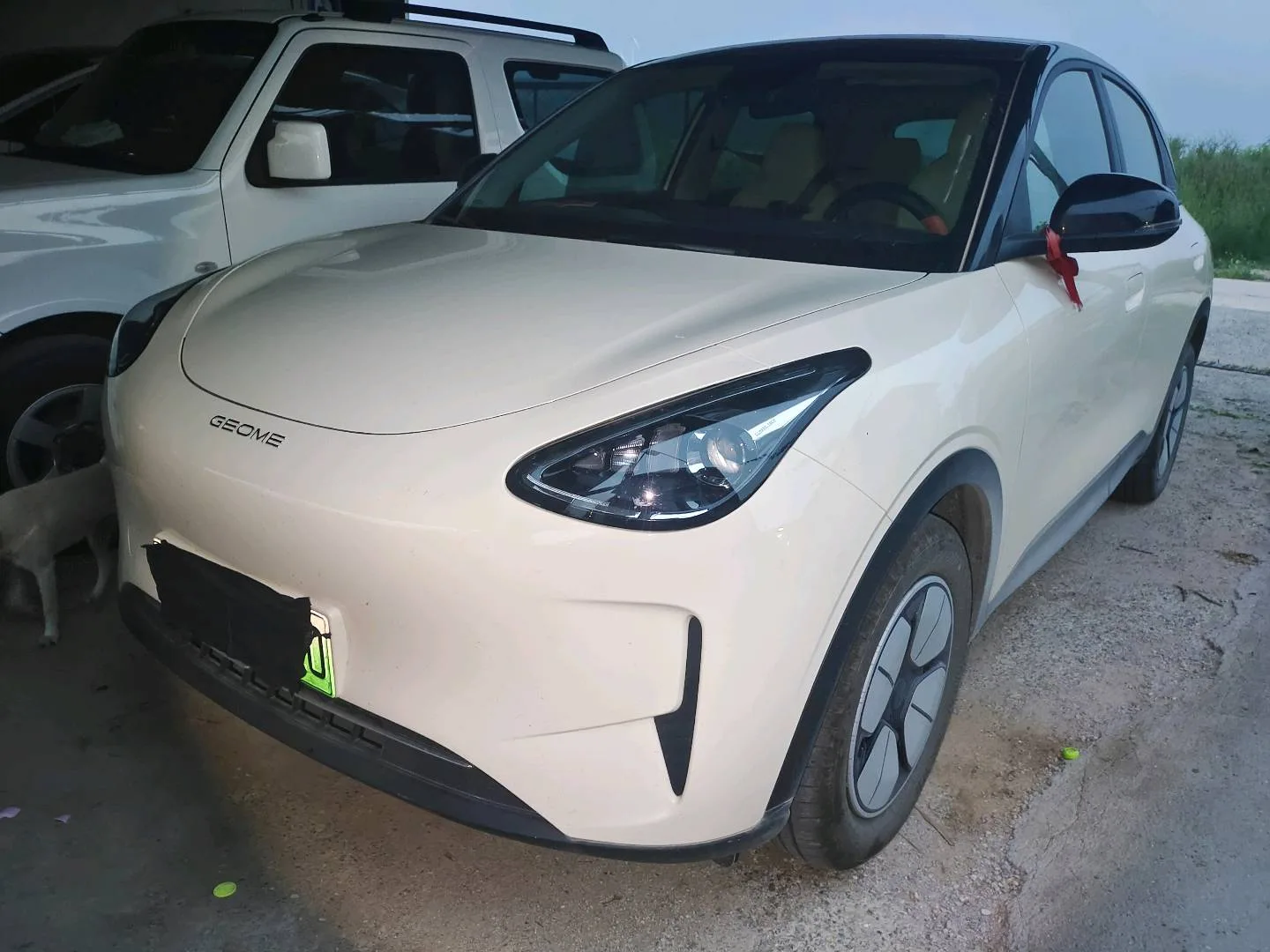 Star Wish 2026 Model 310km Youth Edition