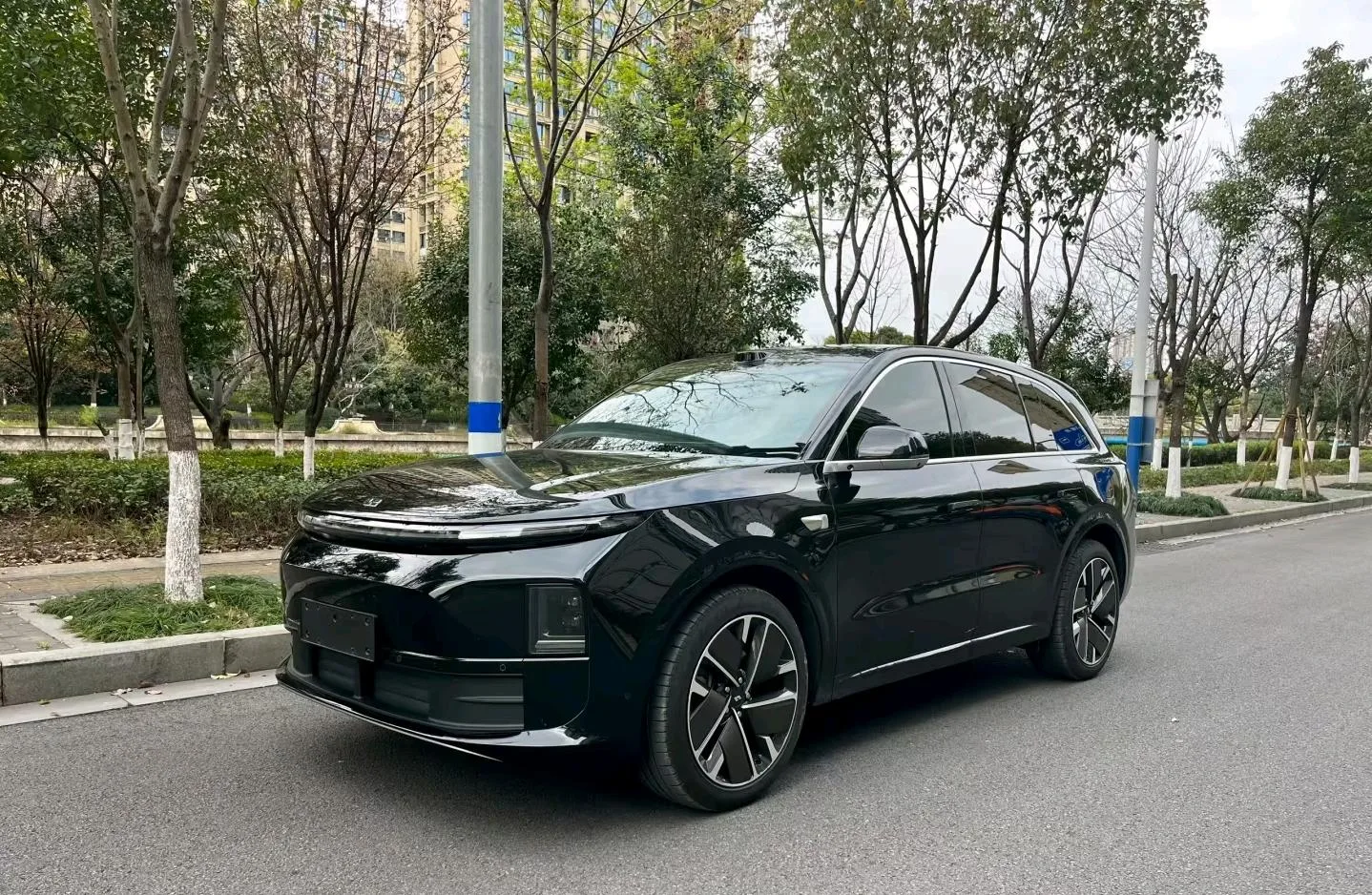 Li Auto 2025 L6 Max Intelligent Renewal Edition Automatic Transmission