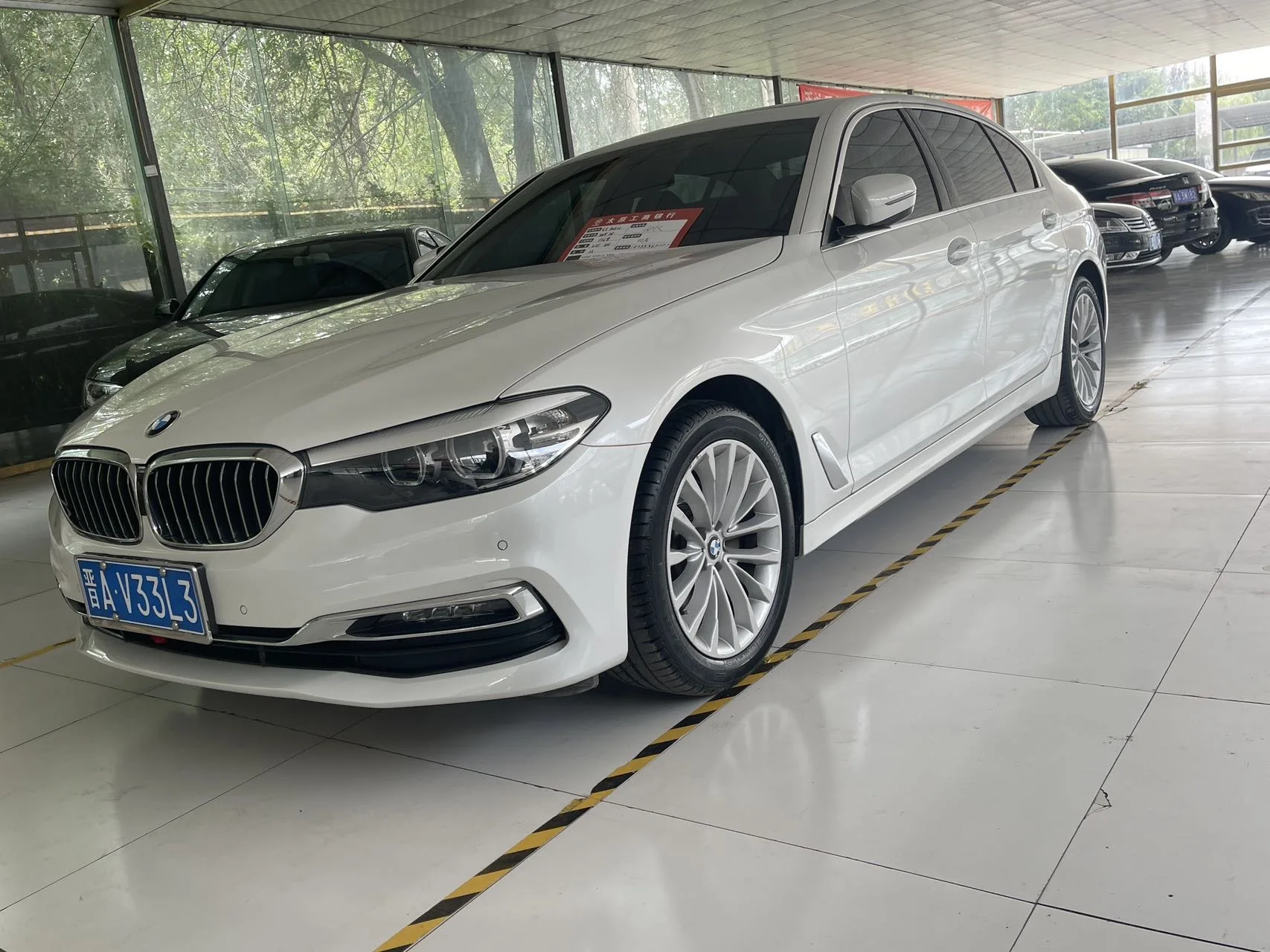 2019 BMW 5 Series 525Li Luxury Package