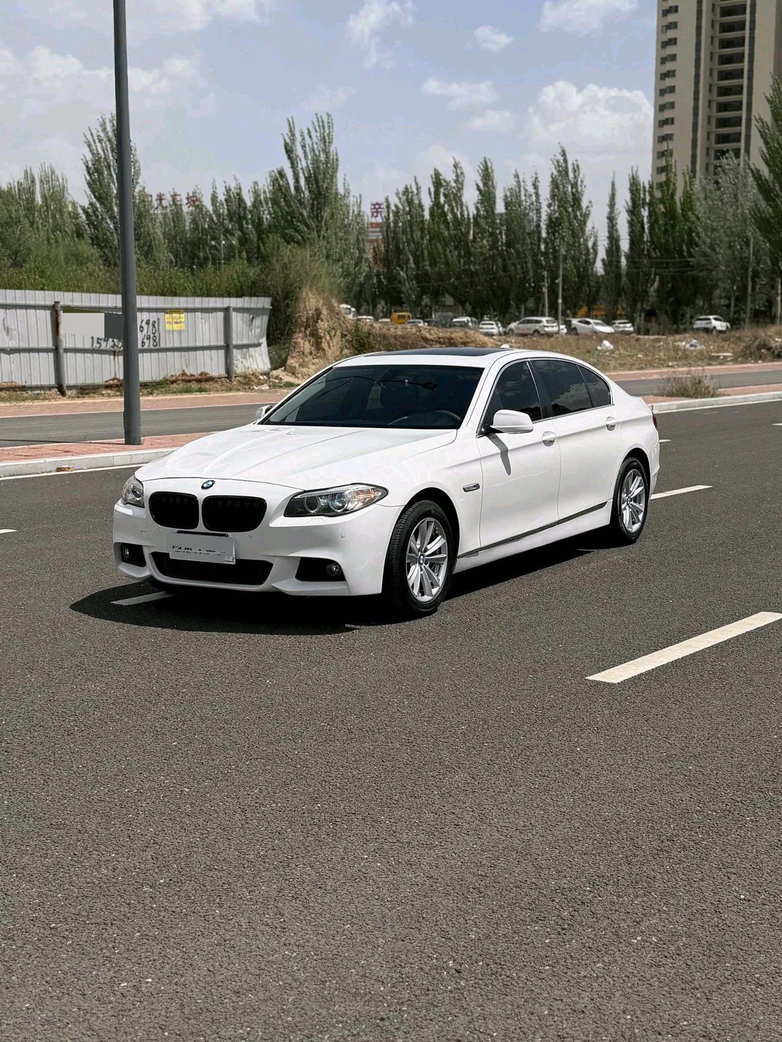 BMW 5 Series 2013 520Li Elegant Edition