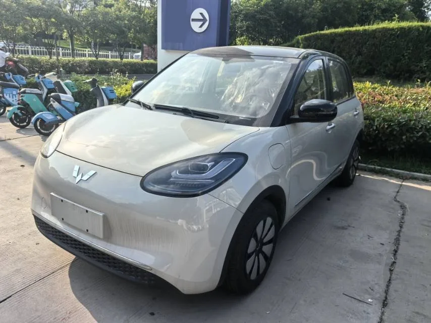 Wuling Bingo 2024 Model, 333km Range, Enjoy Edition