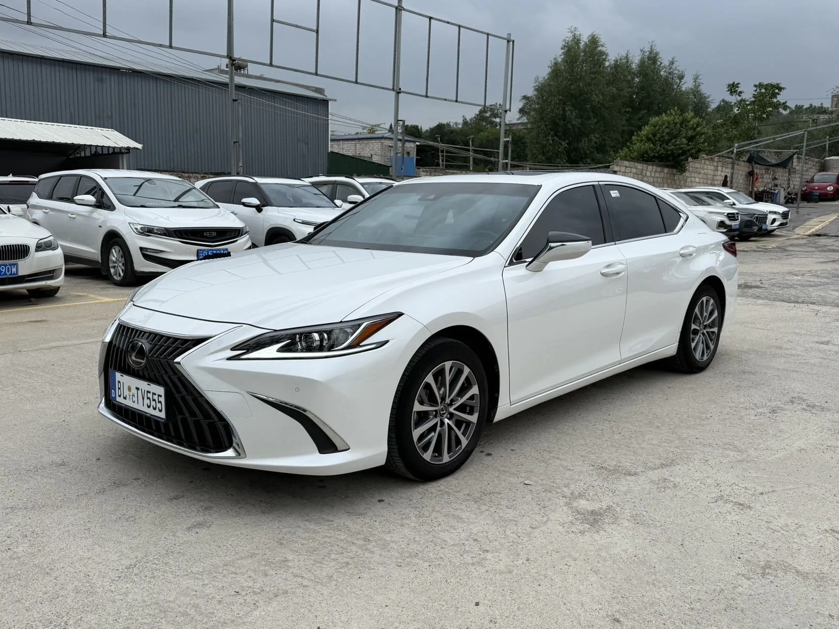Lexus ES 2022 260 Premium Edition