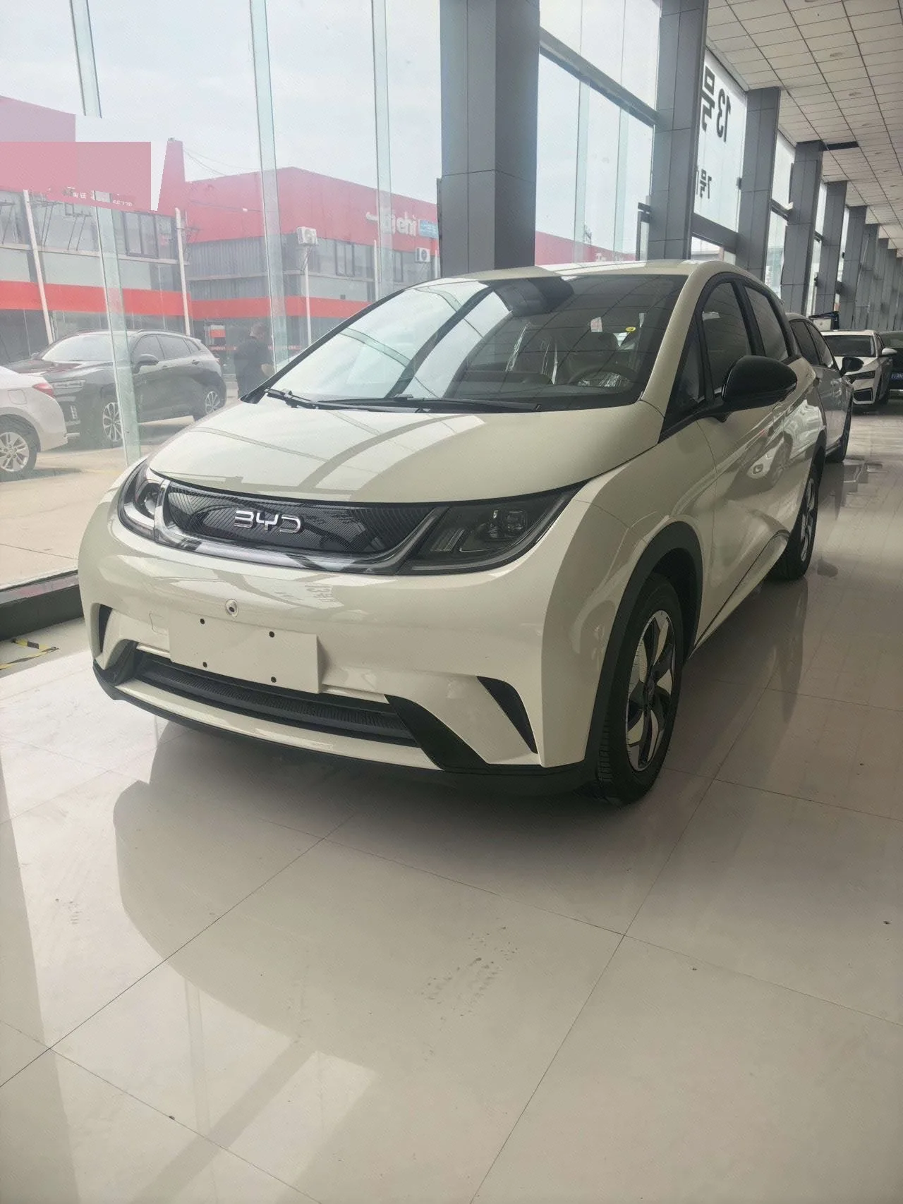 BYD 2025 Dolphin 420km Freedom Edition Automatic